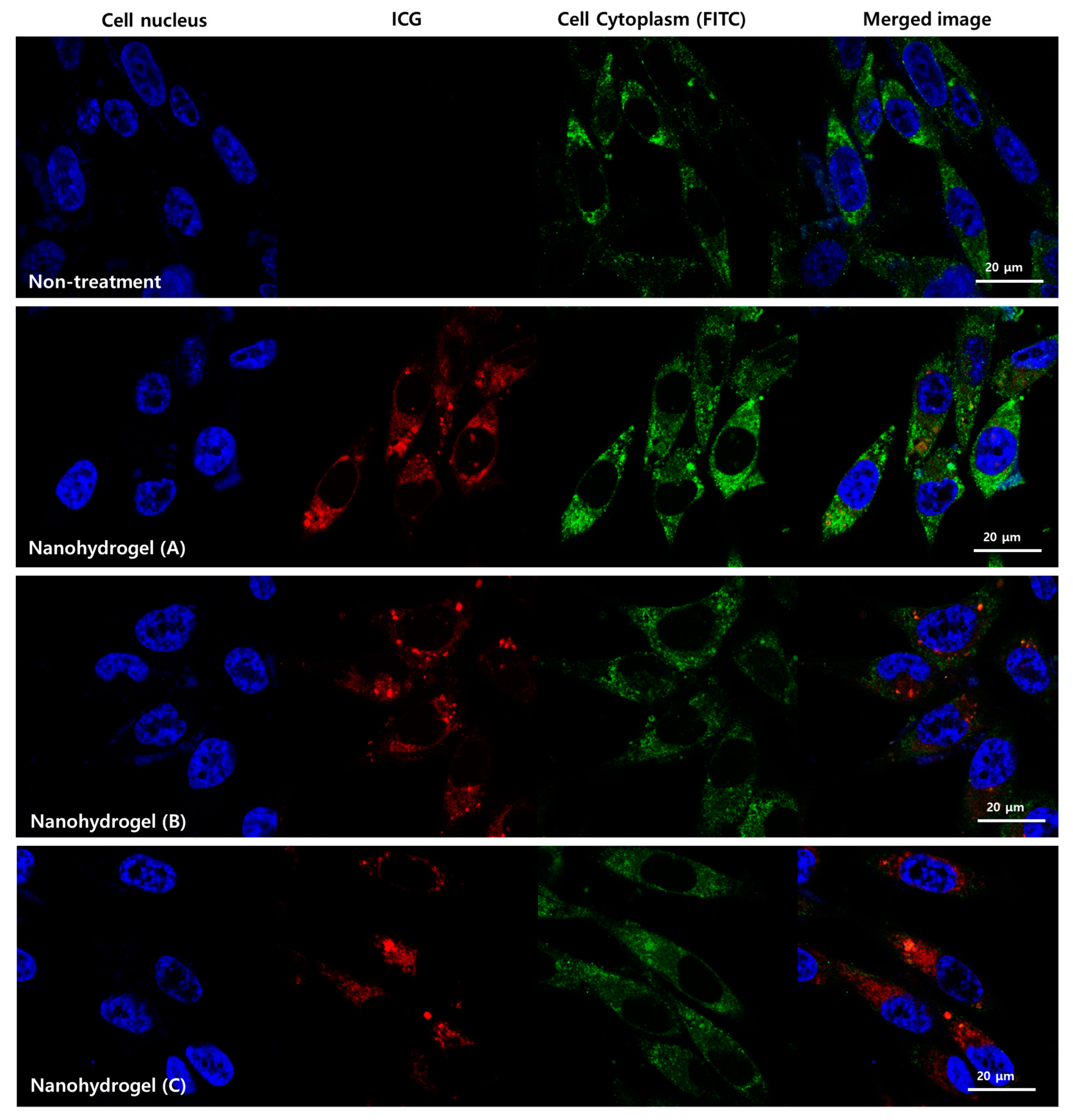 Nanomaterials 07 00427 g005