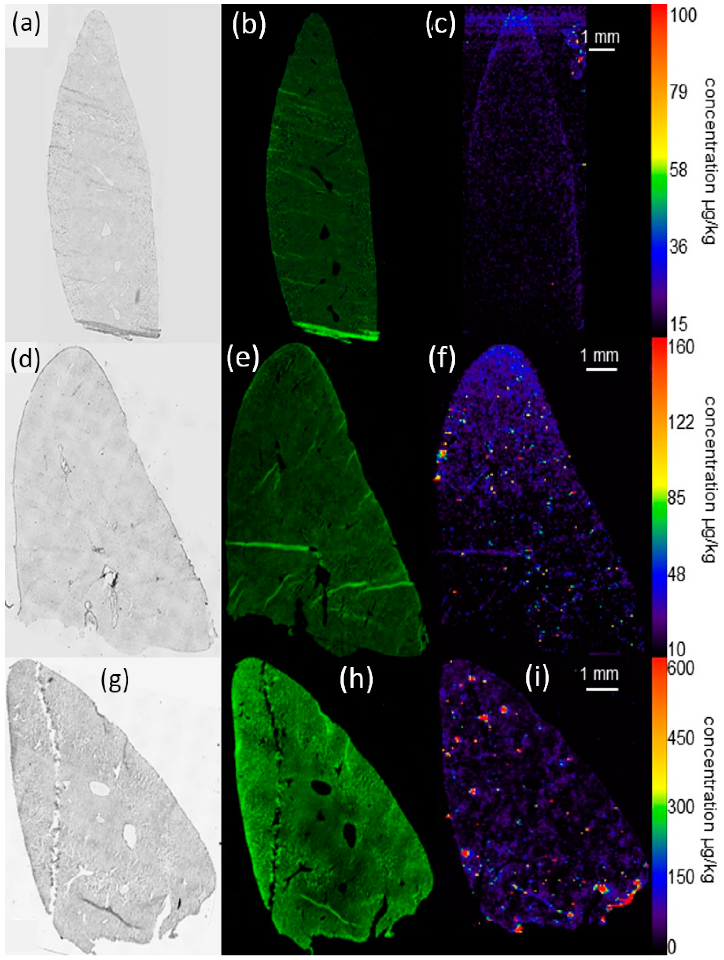 Nanomaterials 07 00441 g005