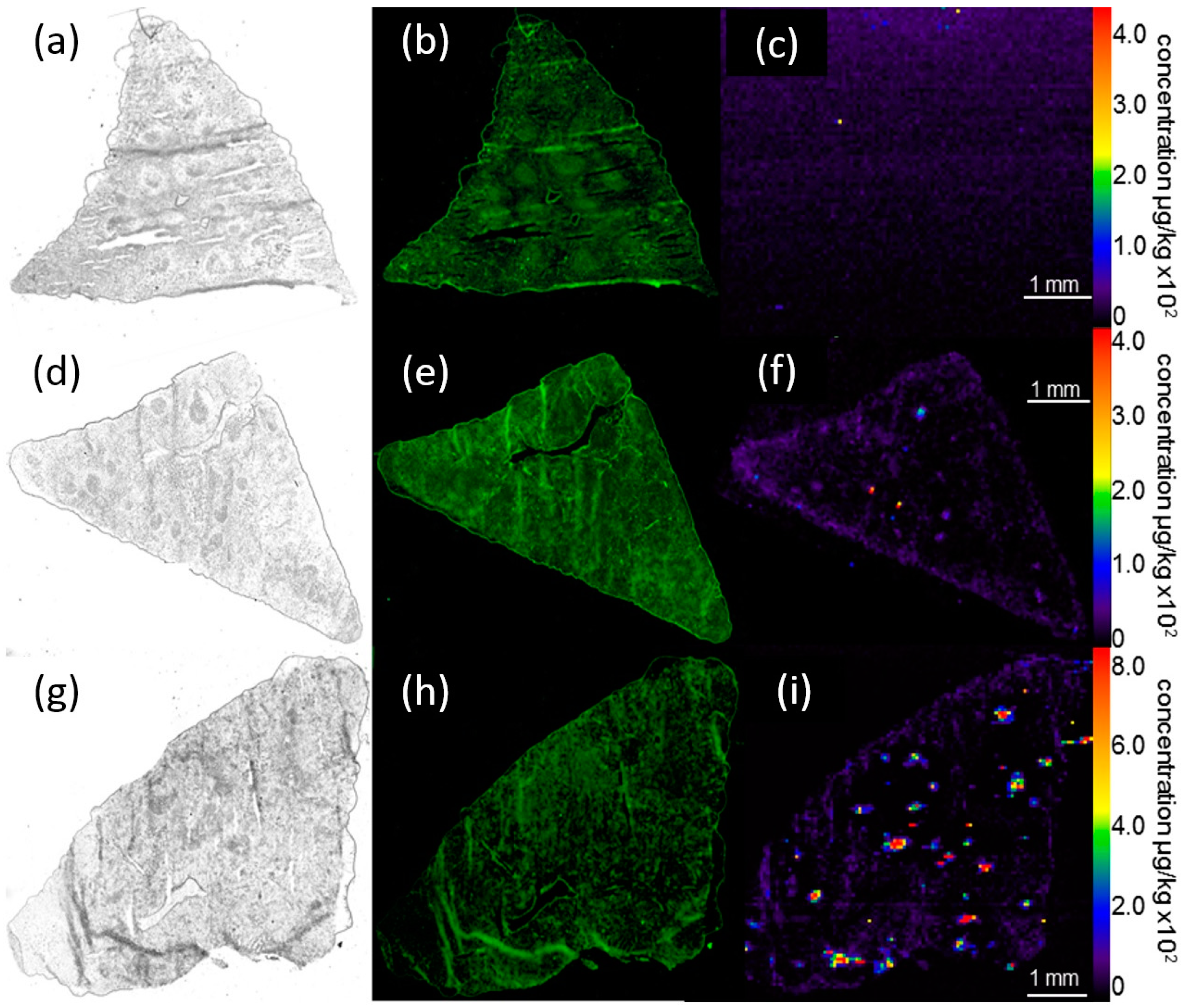 Nanomaterials 07 00441 g006