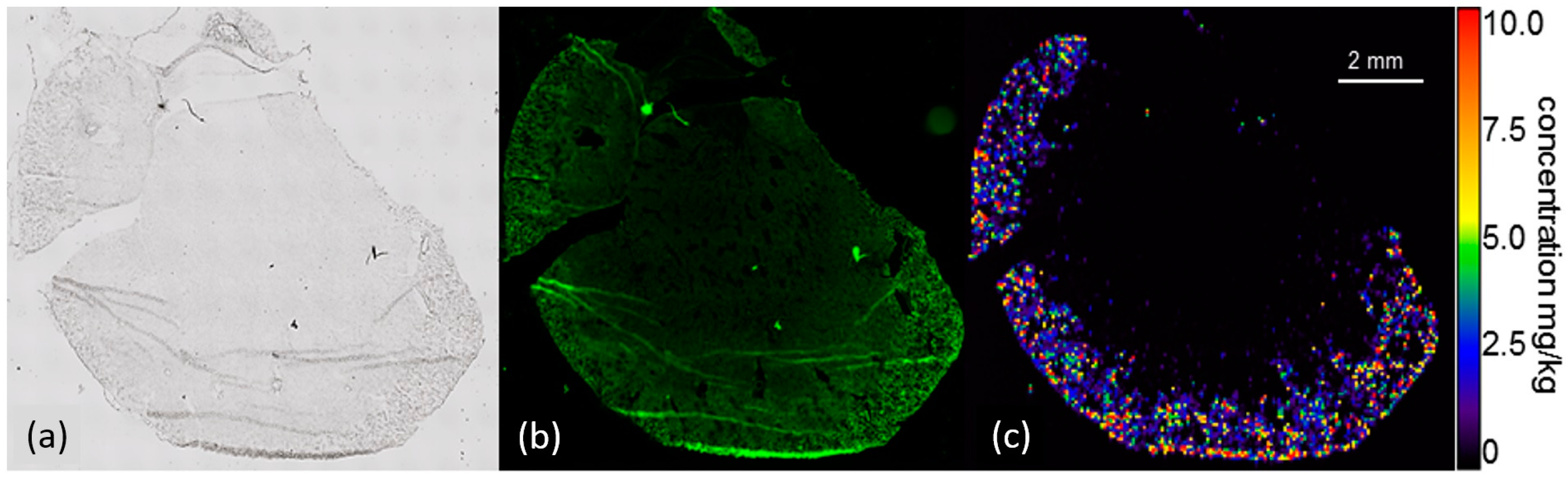 Nanomaterials 07 00441 g007