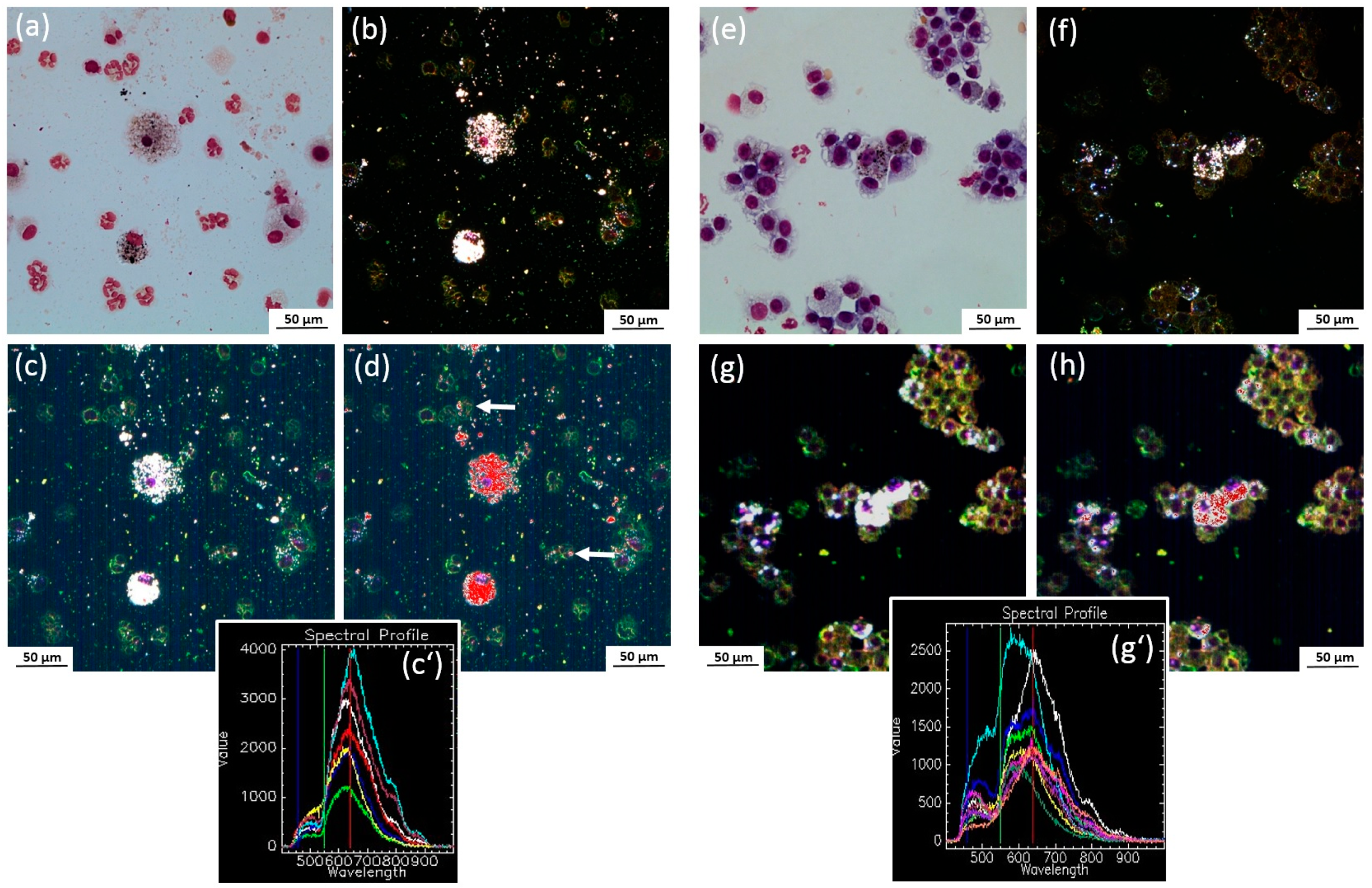 Nanomaterials 07 00441 g009