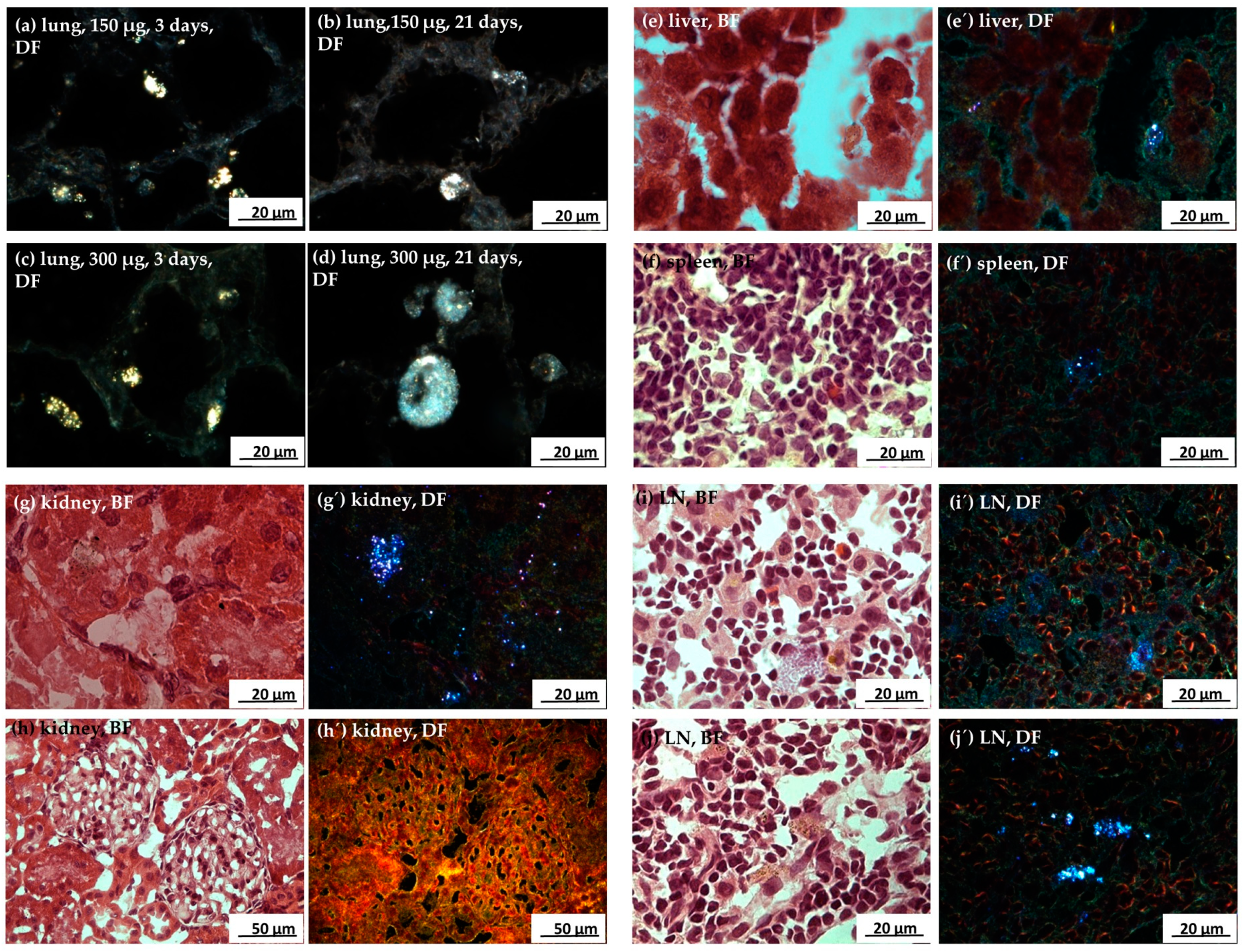 Nanomaterials 07 00441 g010