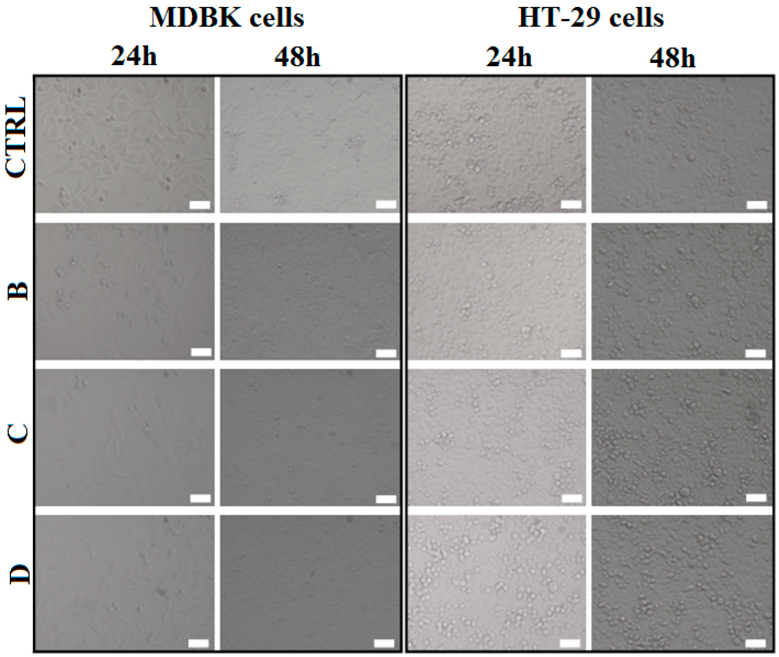Nanomaterials 07 00443 g010