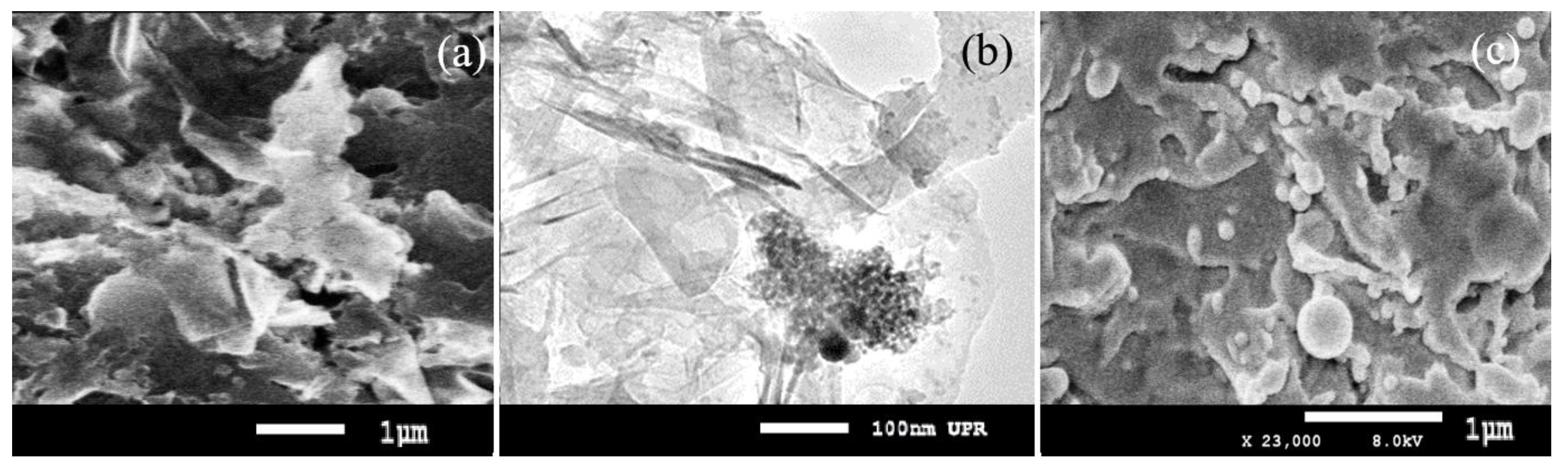 Nanomaterials 07 00454 g001 Nanomaterials 07 00454 g001
