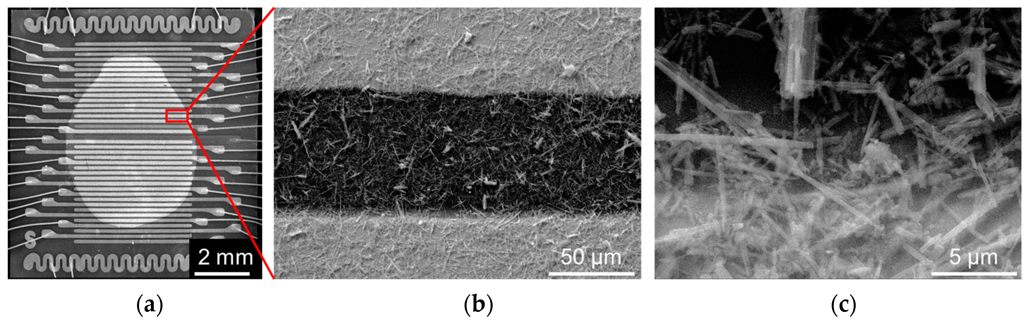 Nanomaterials 07 00455 g001 Nanomaterials 07 00455 g001