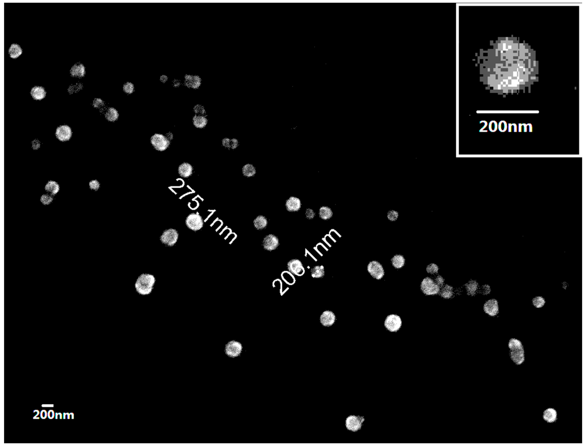 Nanomaterials 07 00458 g002