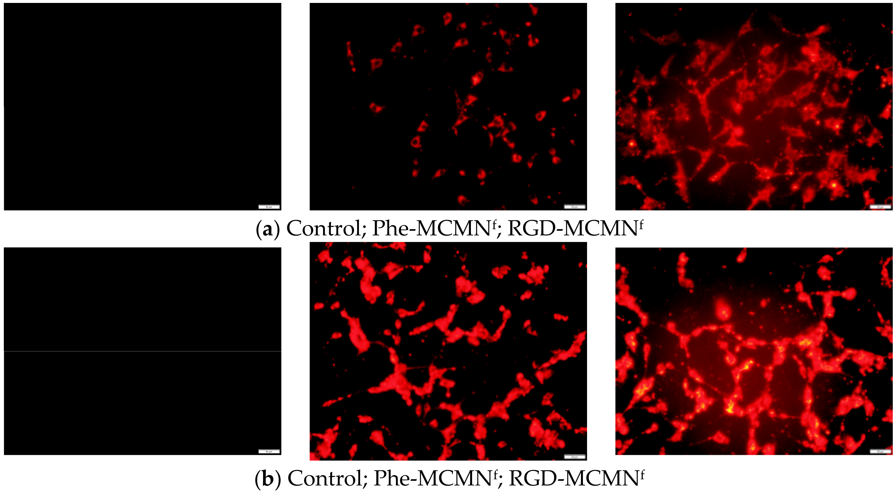 Nanomaterials 08 00002 g002