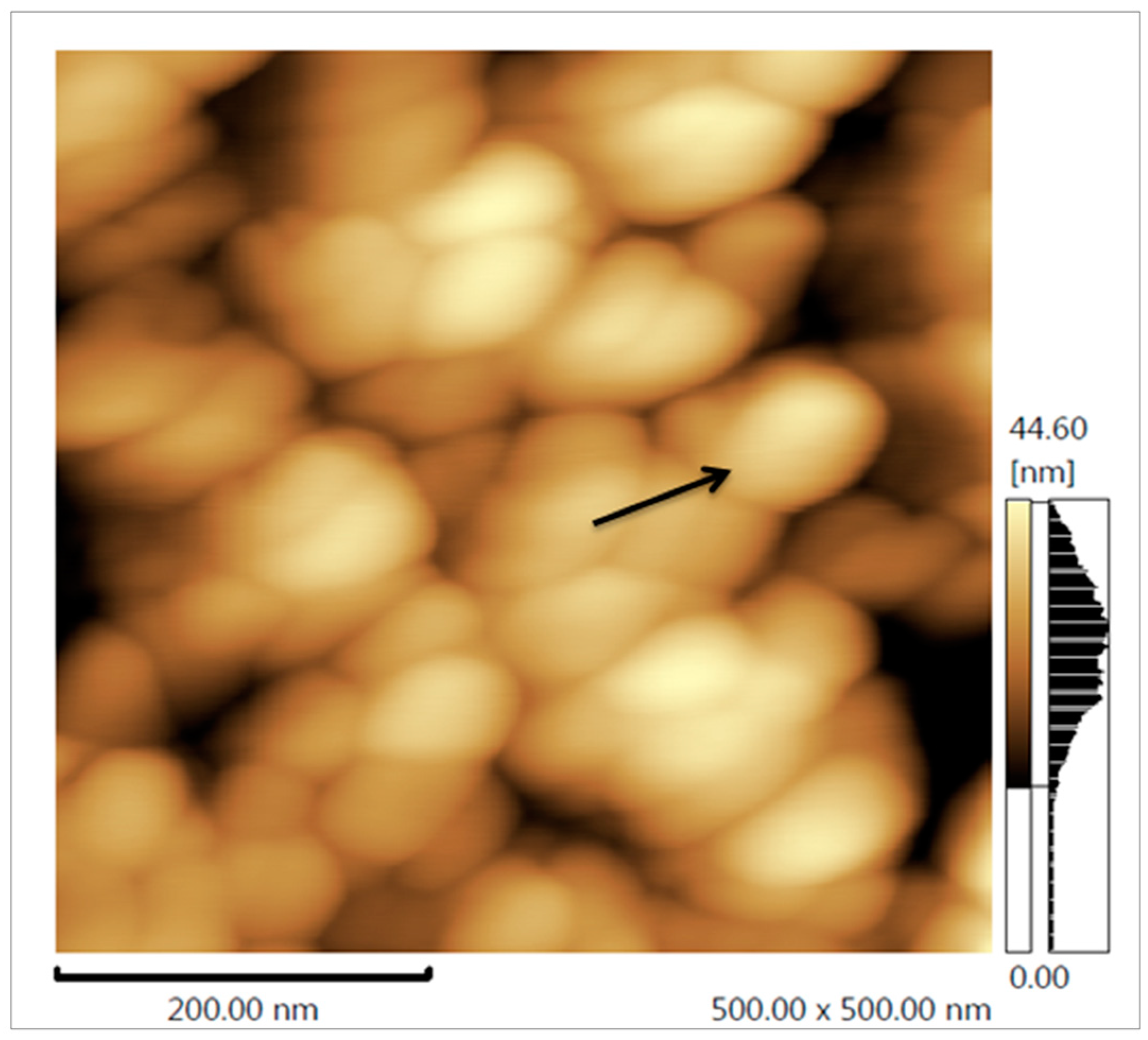 Nanomaterials 08 00006 g004