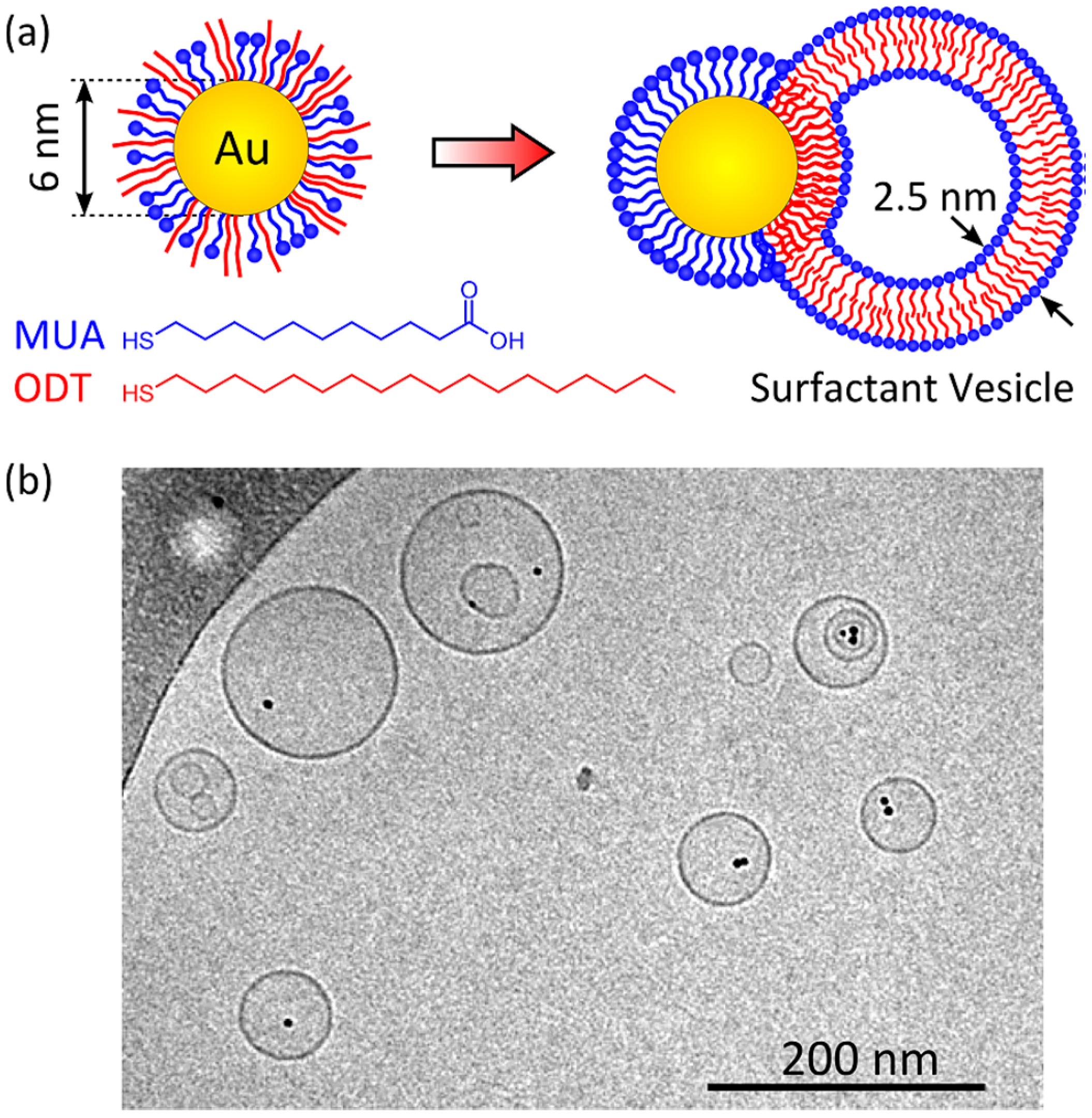 Nanomaterials 08 00011 g008