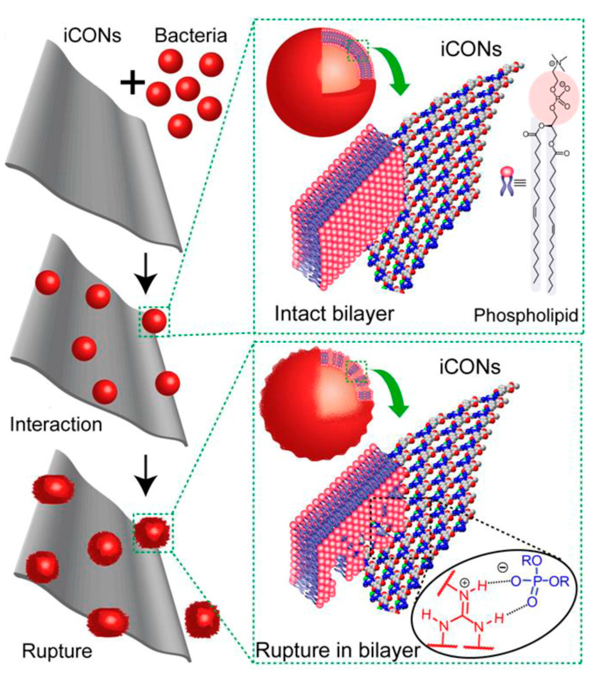 Nanomaterials 08 00015 g017 Nanomaterials 08 00015 g017