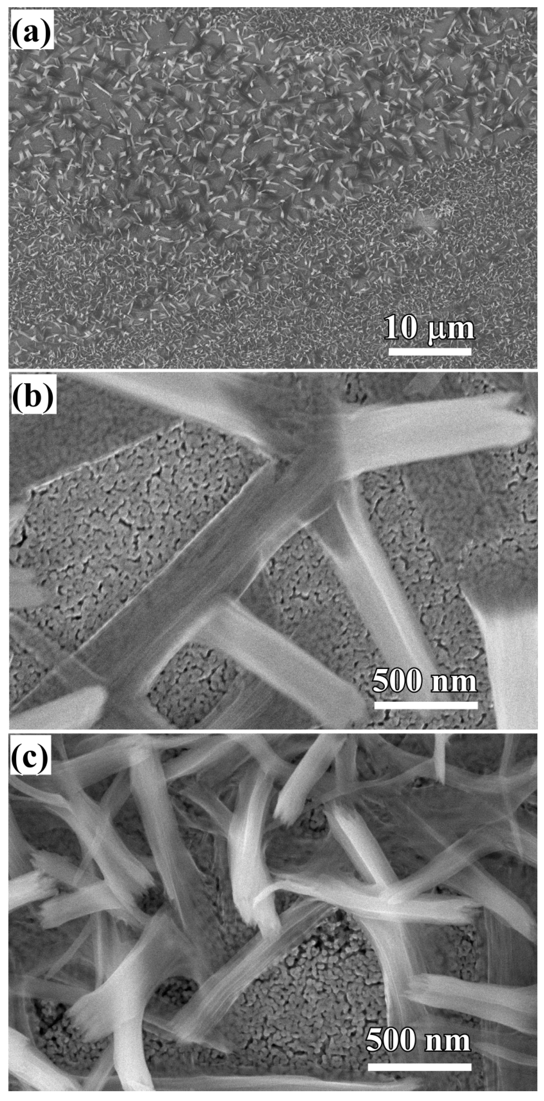 Nanomaterials 08 00018 g002