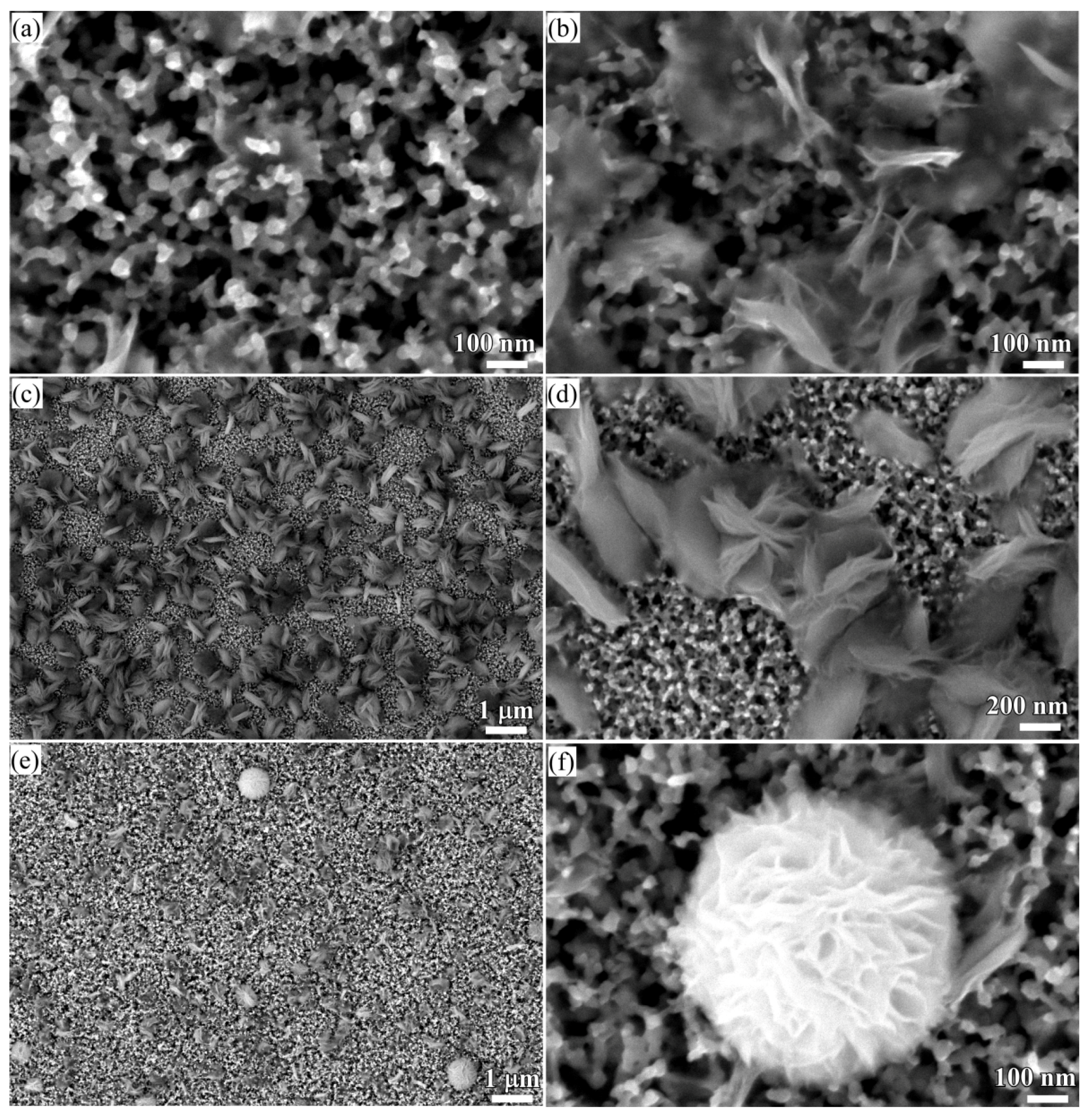 Nanomaterials 08 00018 g005