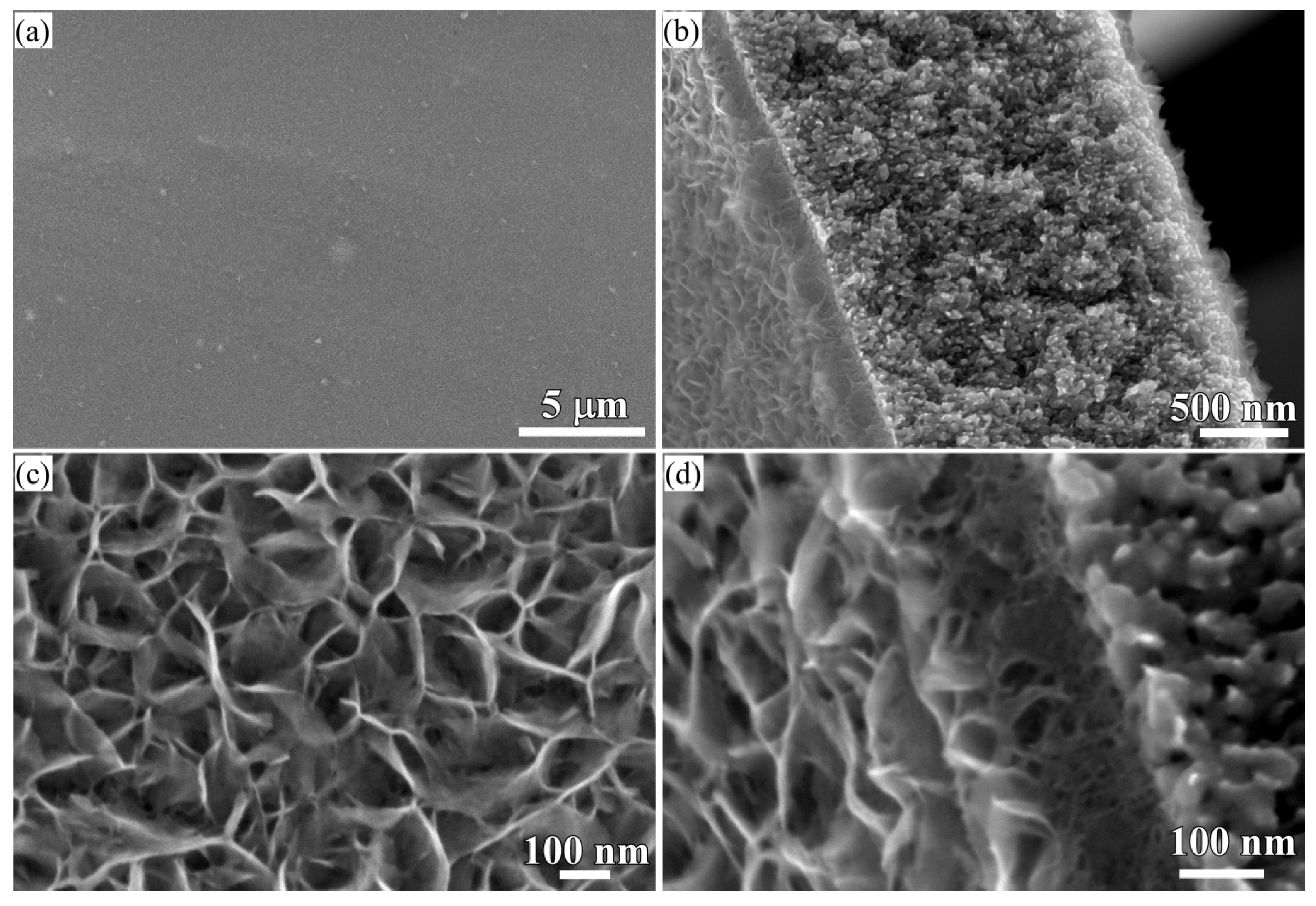 Nanomaterials 08 00018 g006