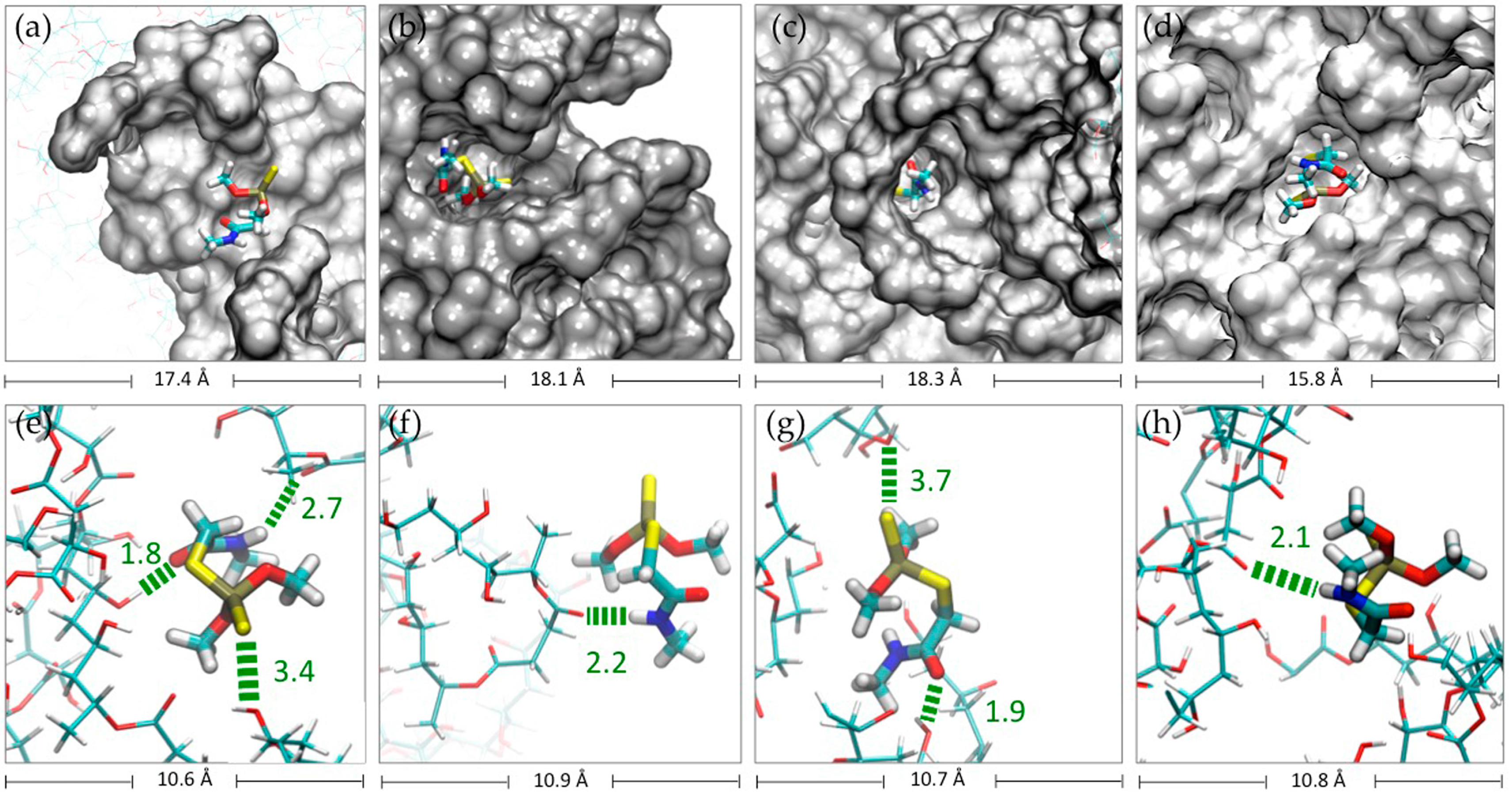 Nanomaterials 08 00023 g005