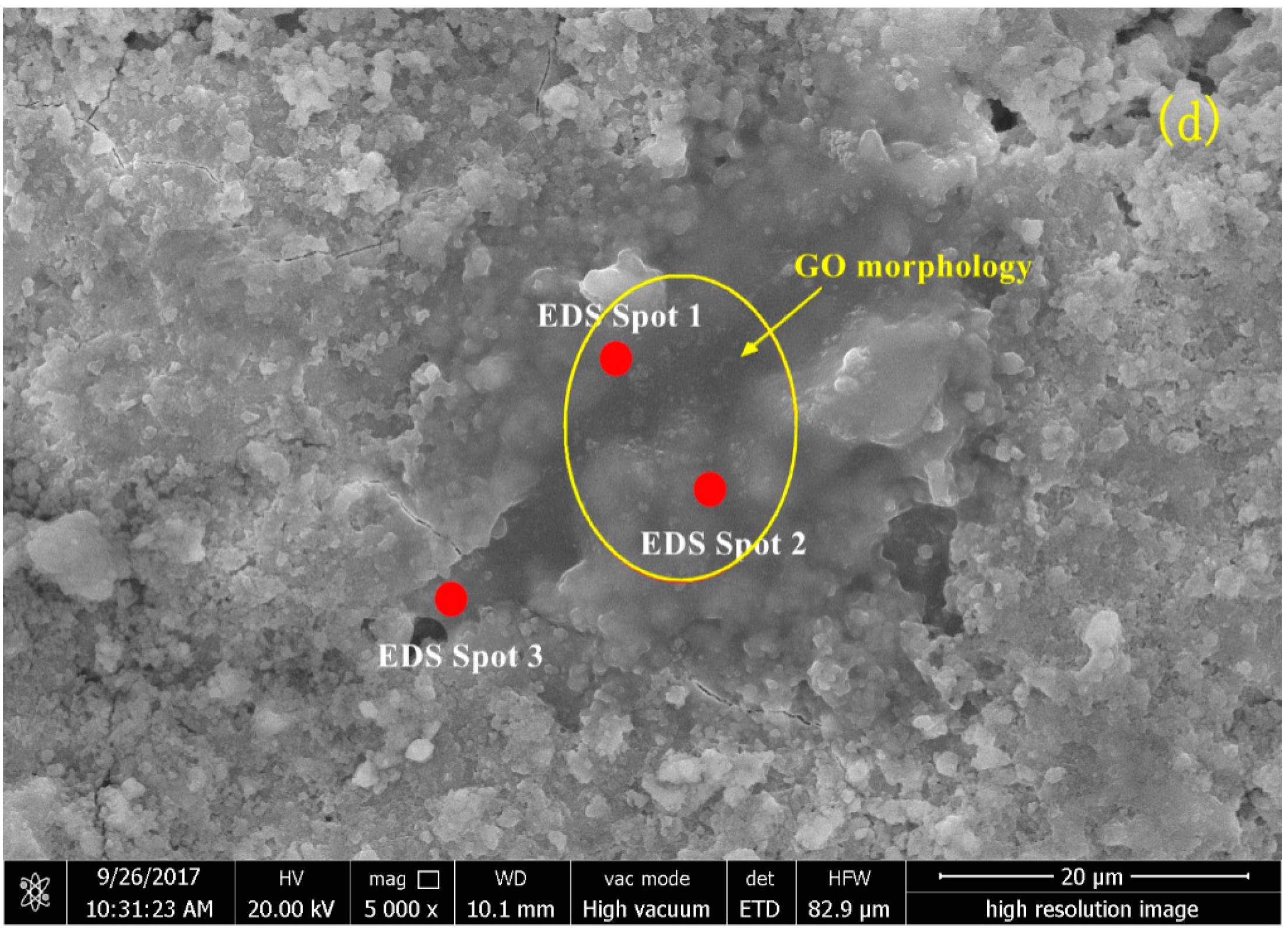 Nanomaterials 08 00031 g008b