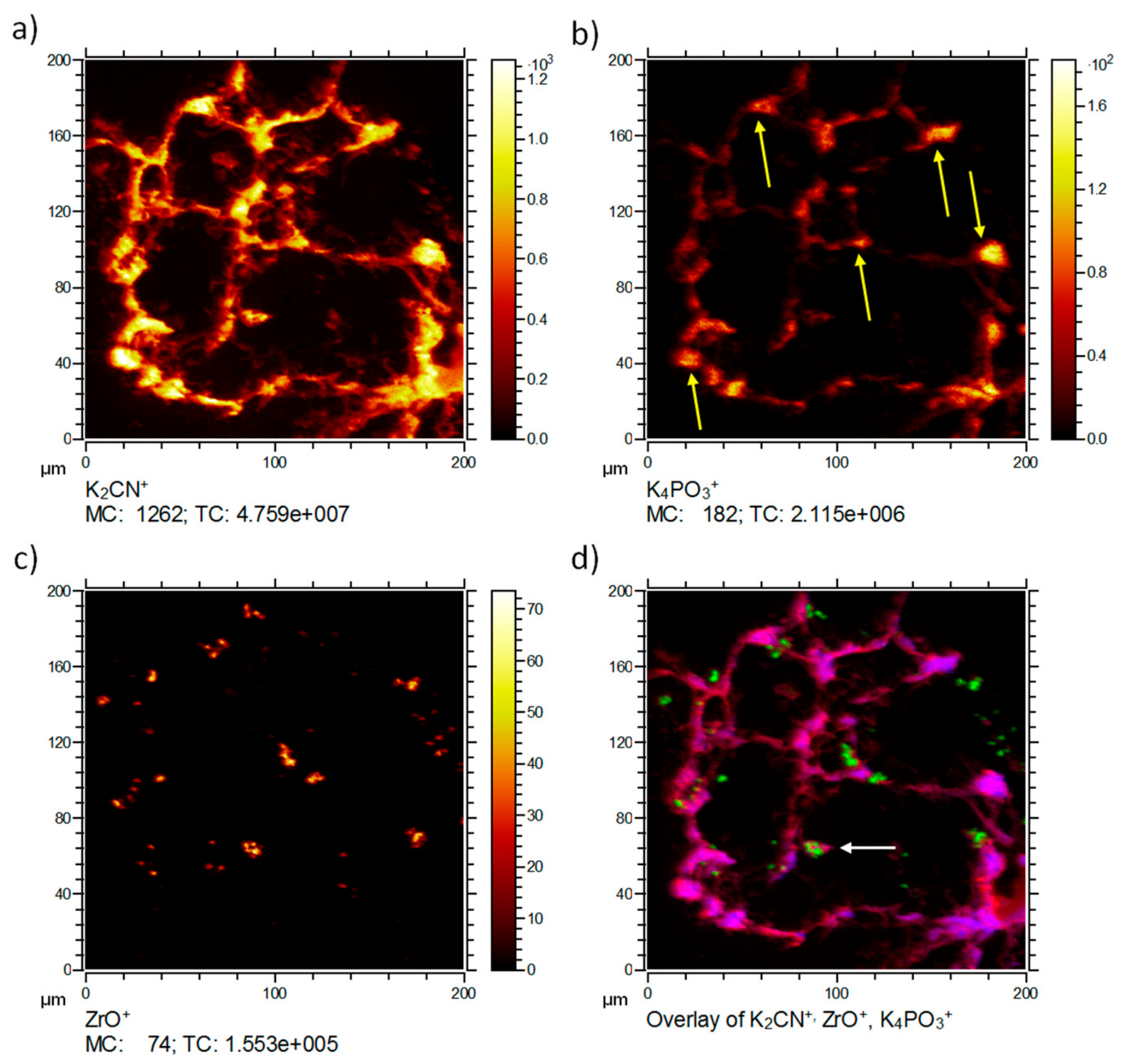 Nanomaterials 08 00044 g002