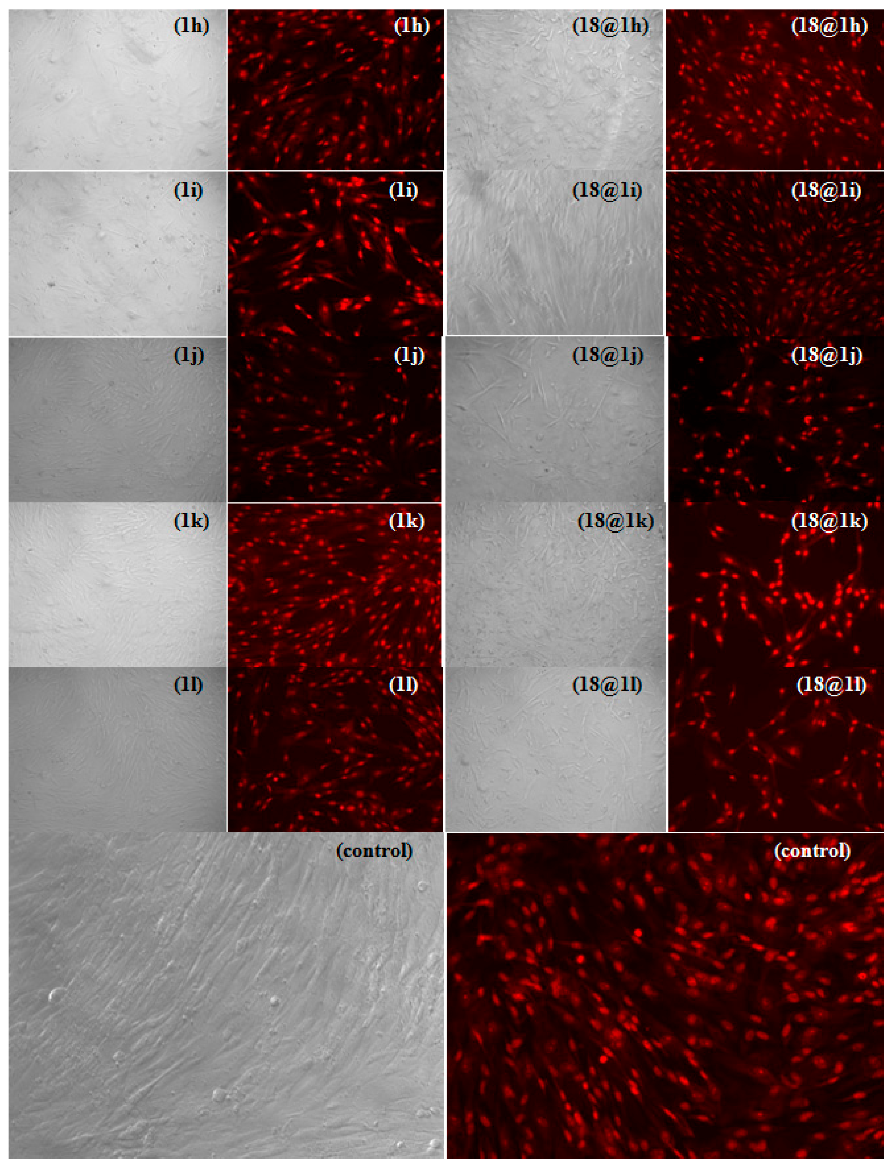 Nanomaterials 08 00047 g003b