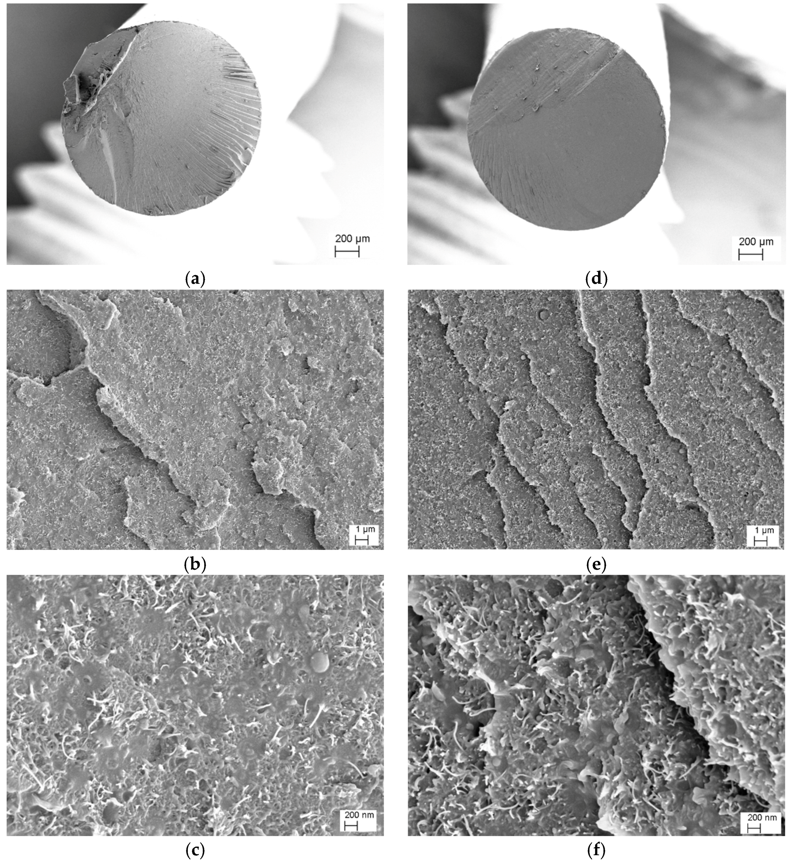 Nanomaterials 08 00049 g004 Nanomaterials 08 00049 g004