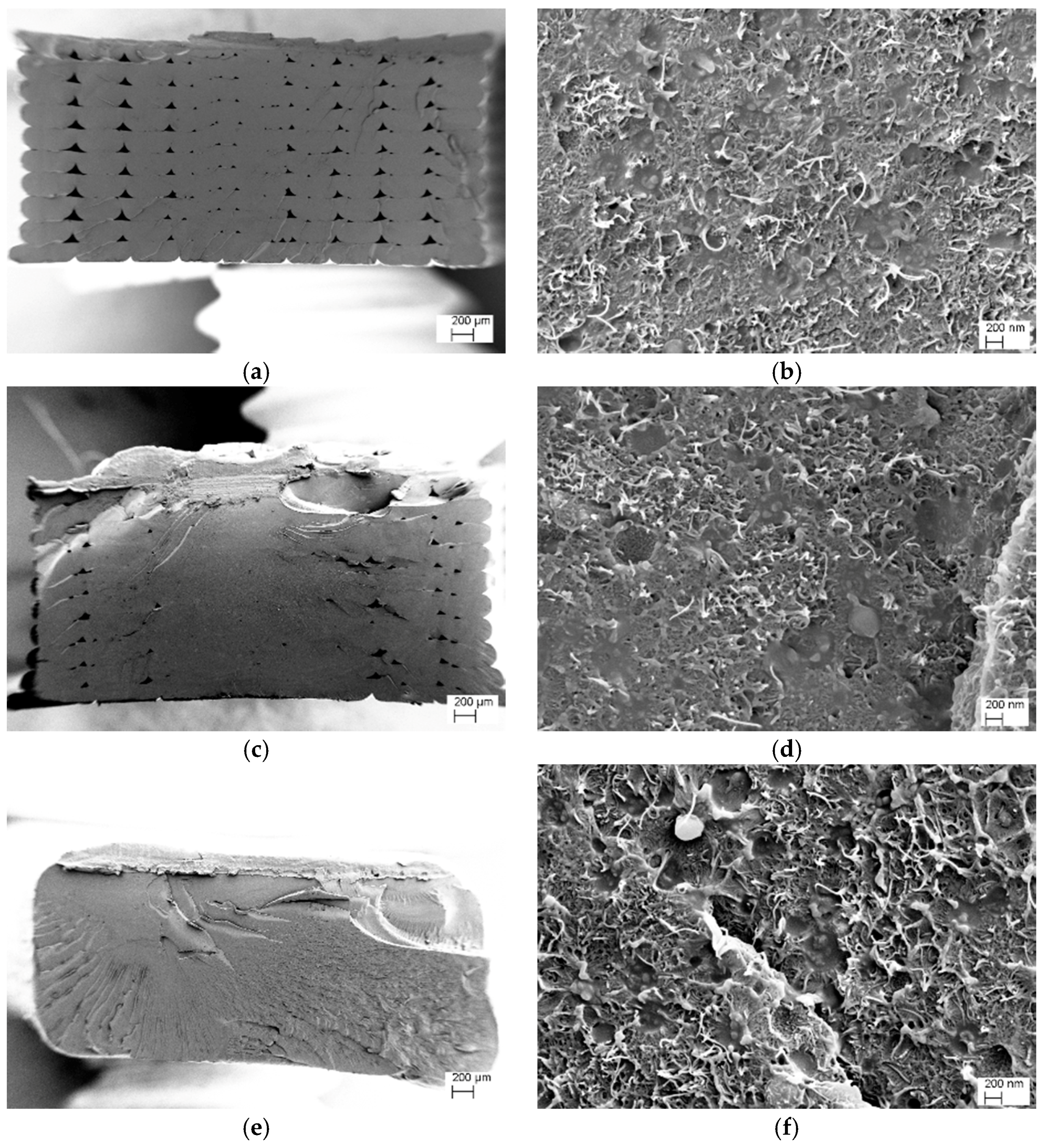 Nanomaterials 08 00049 g005 Nanomaterials 08 00049 g005