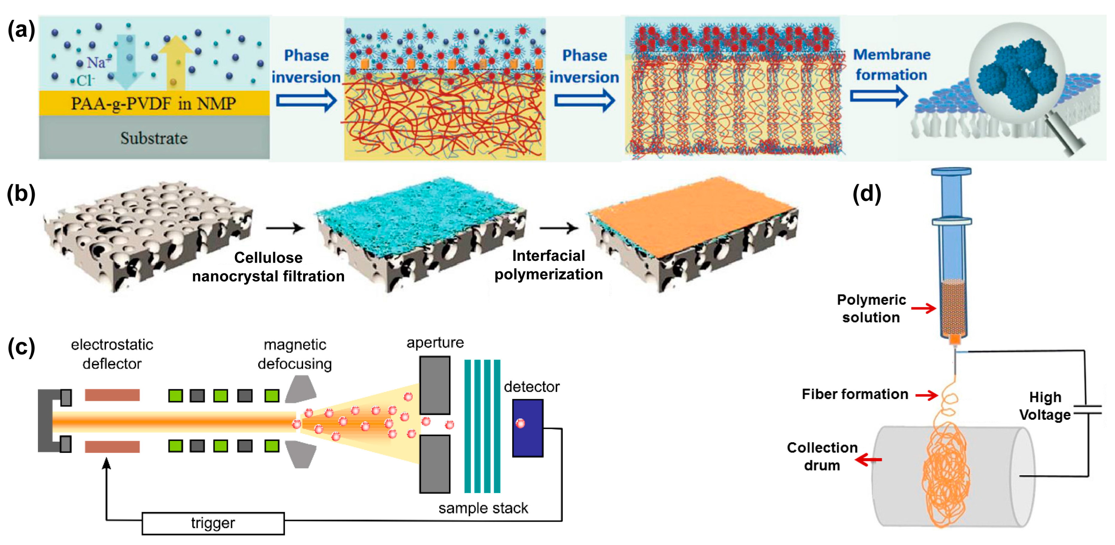 Nanomaterials 08 00065 g001