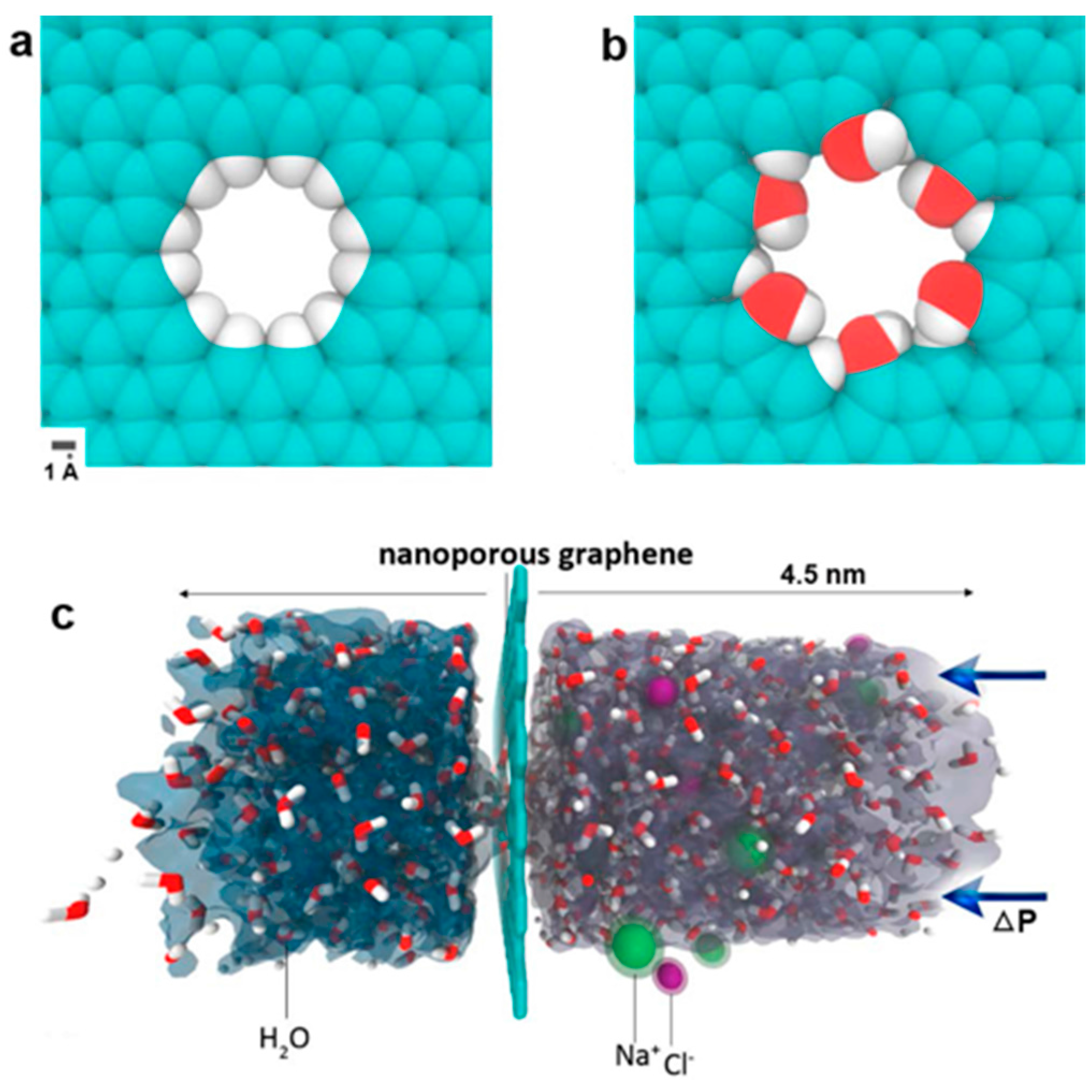 Nanomaterials 08 00065 g003