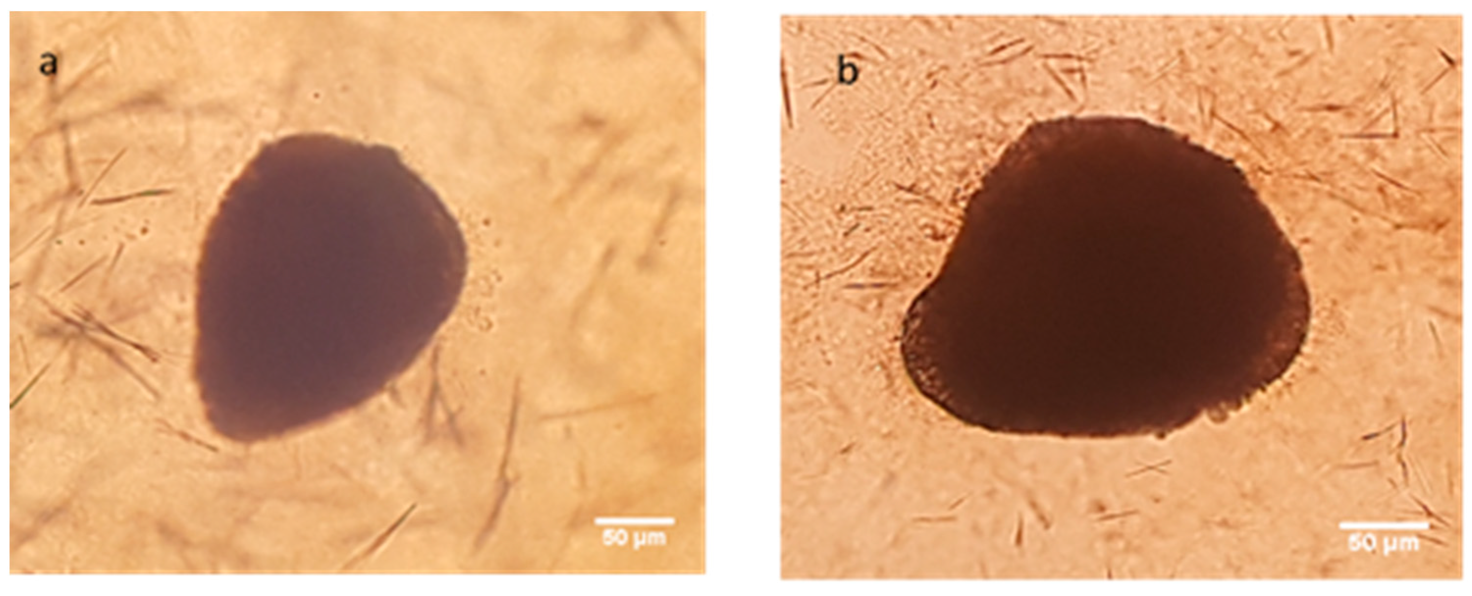 Nanomaterials 08 00067 g013 Nanomaterials 08 00067 g013
