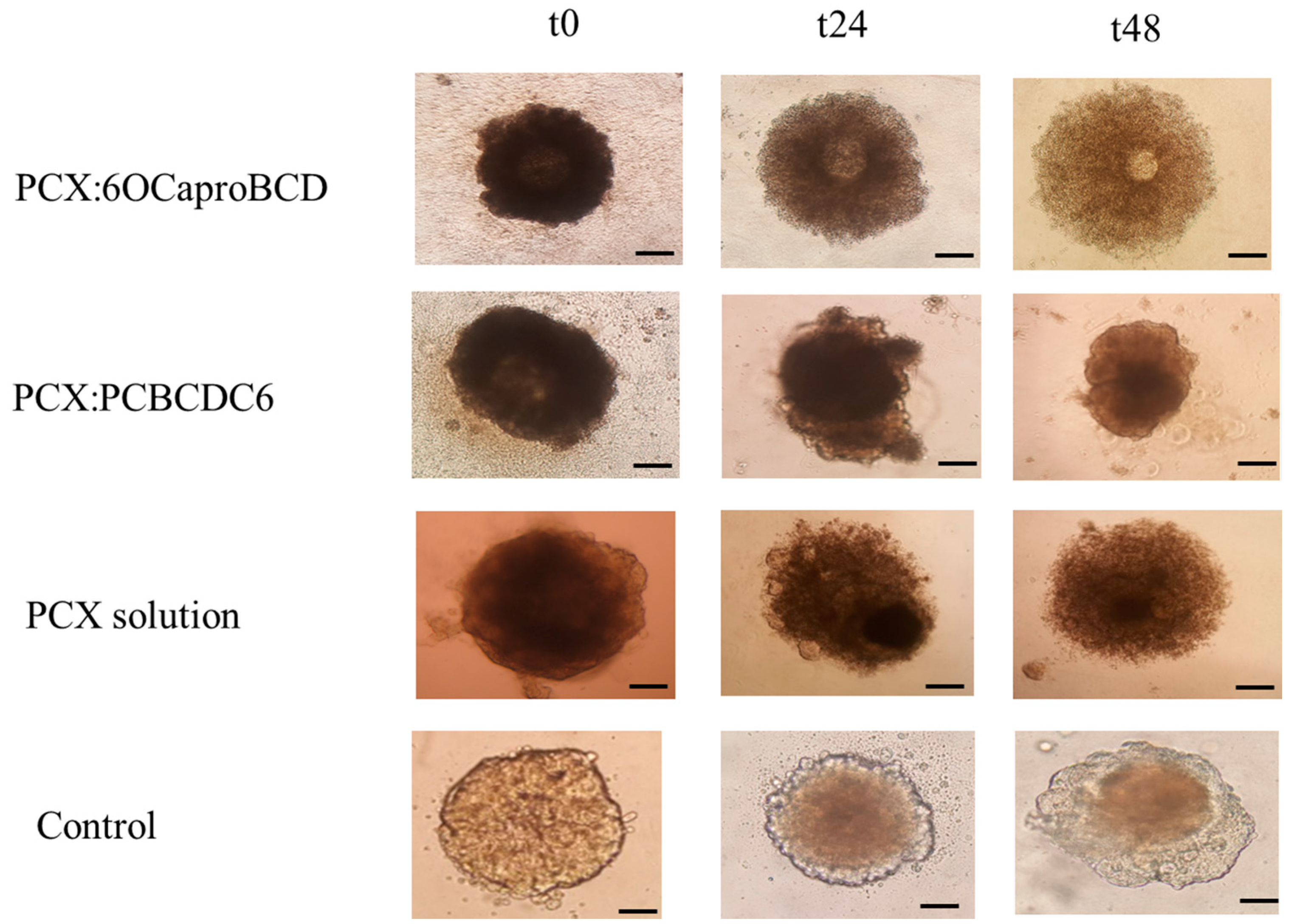 Nanomaterials 08 00067 g015 Nanomaterials 08 00067 g015