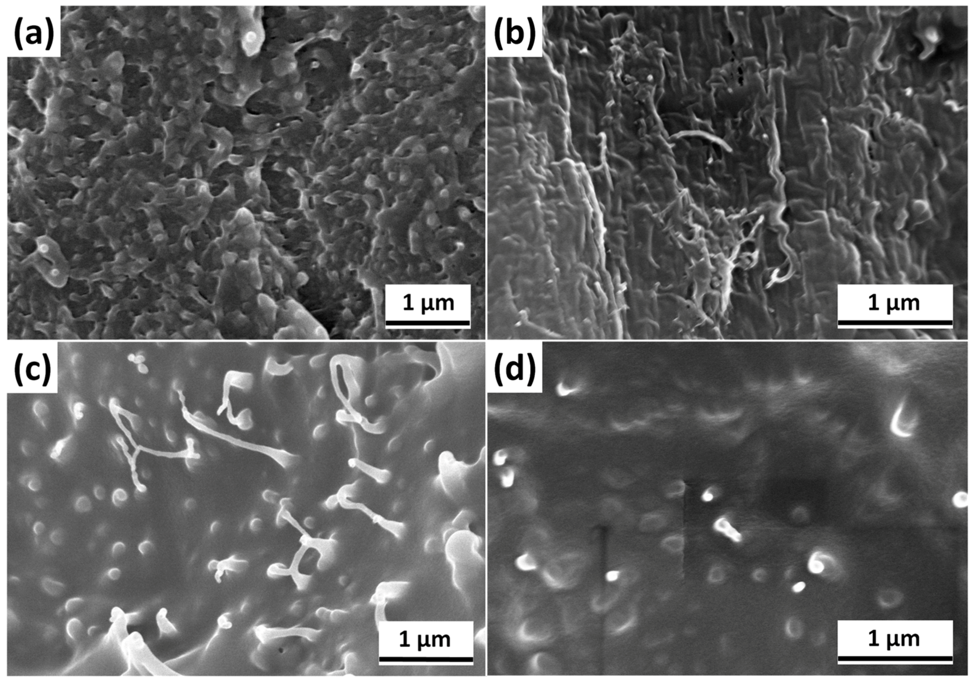 Nanomaterials 08 00070 g003