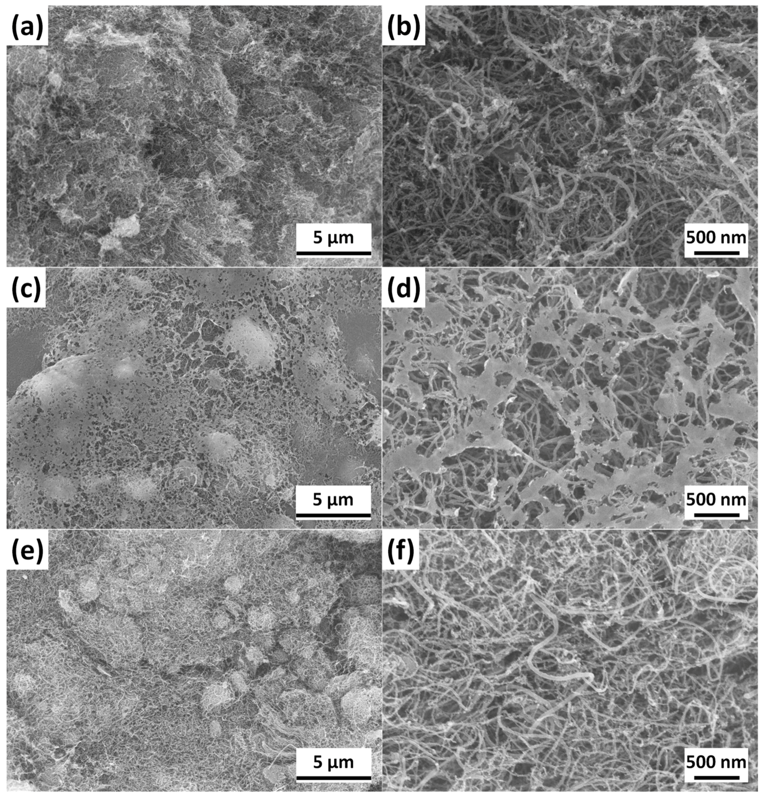 Nanomaterials 08 00070 g010