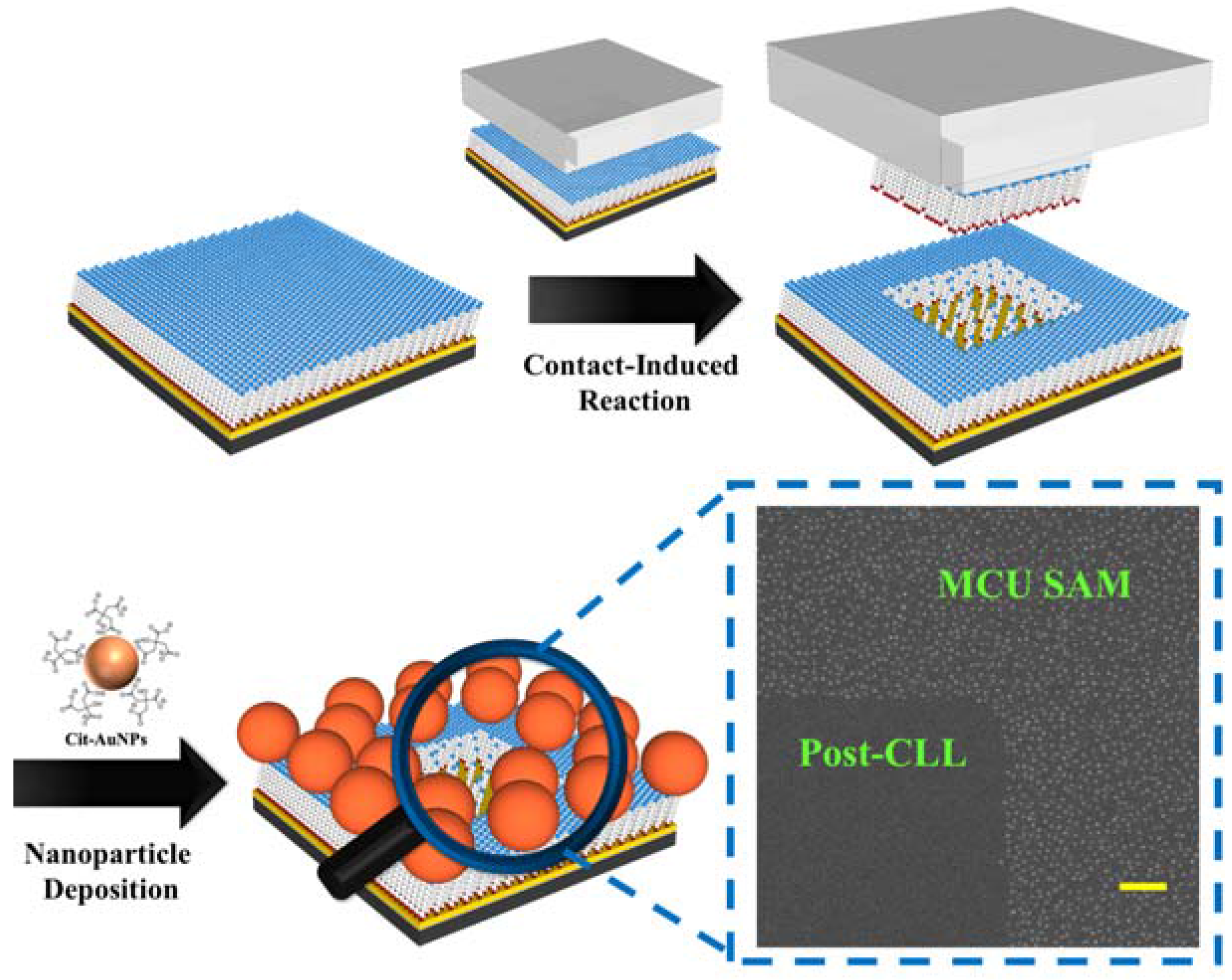 Nanomaterials 08 00071 g001