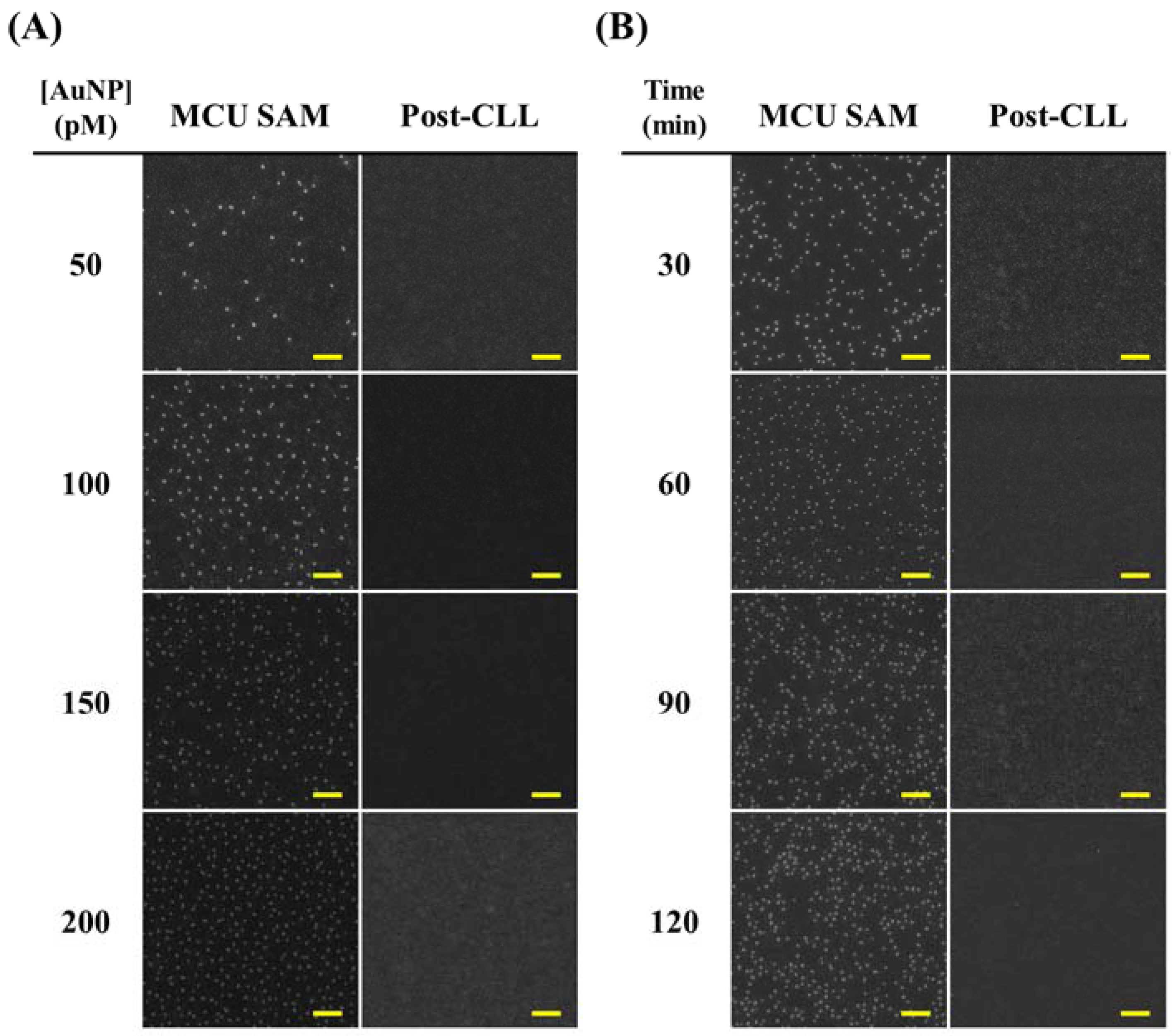 Nanomaterials 08 00071 g003