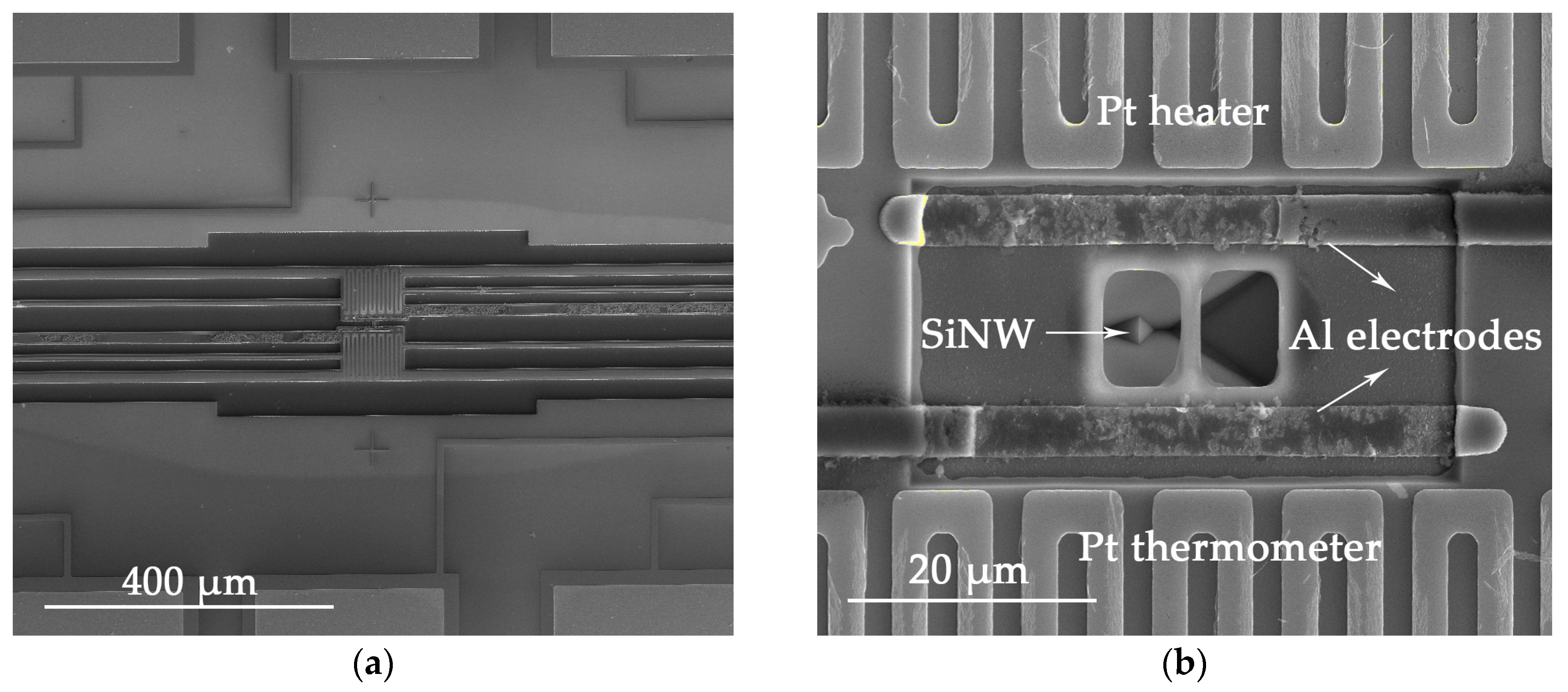 Nanomaterials 08 00077 g006