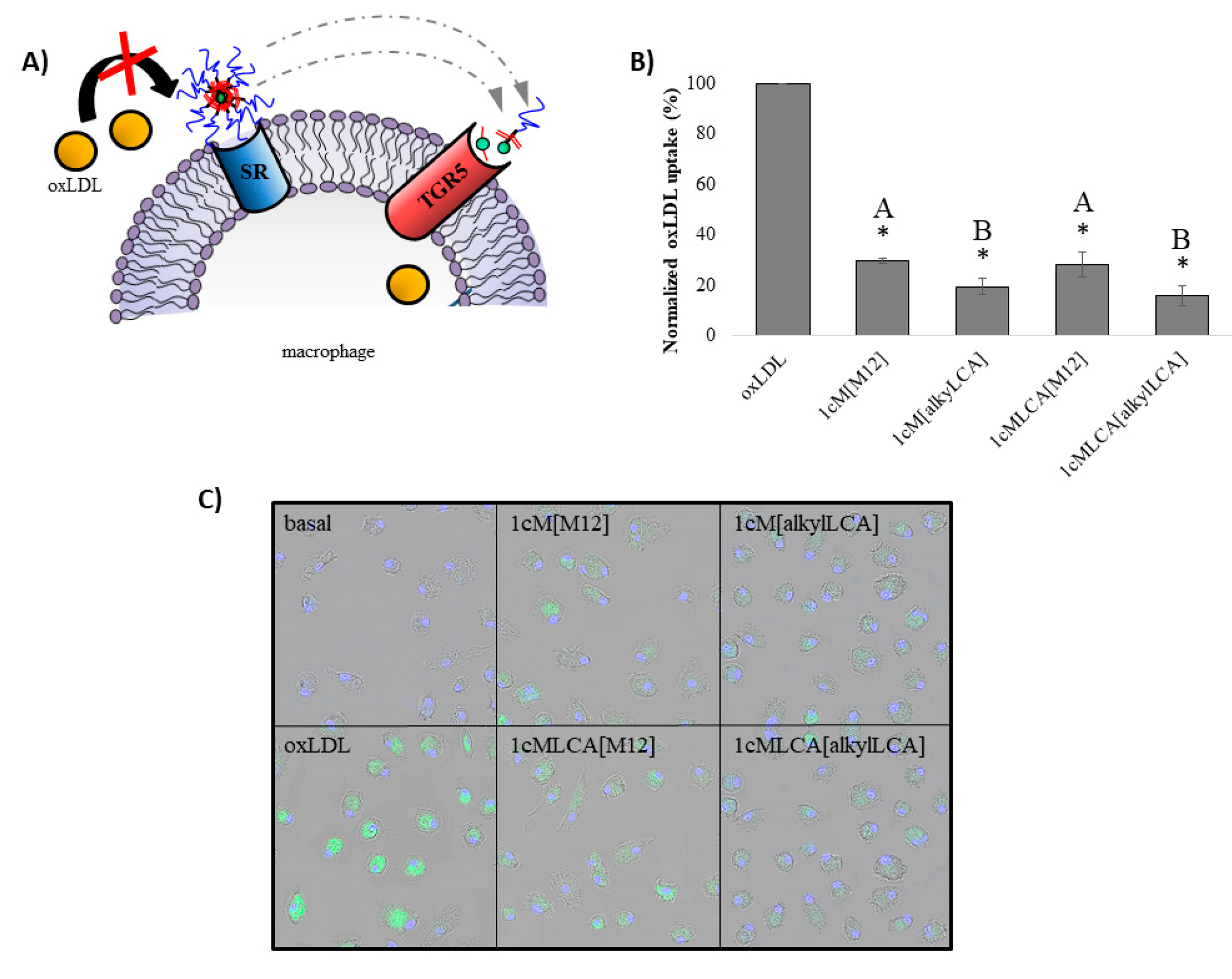 Nanomaterials 08 00084 g004