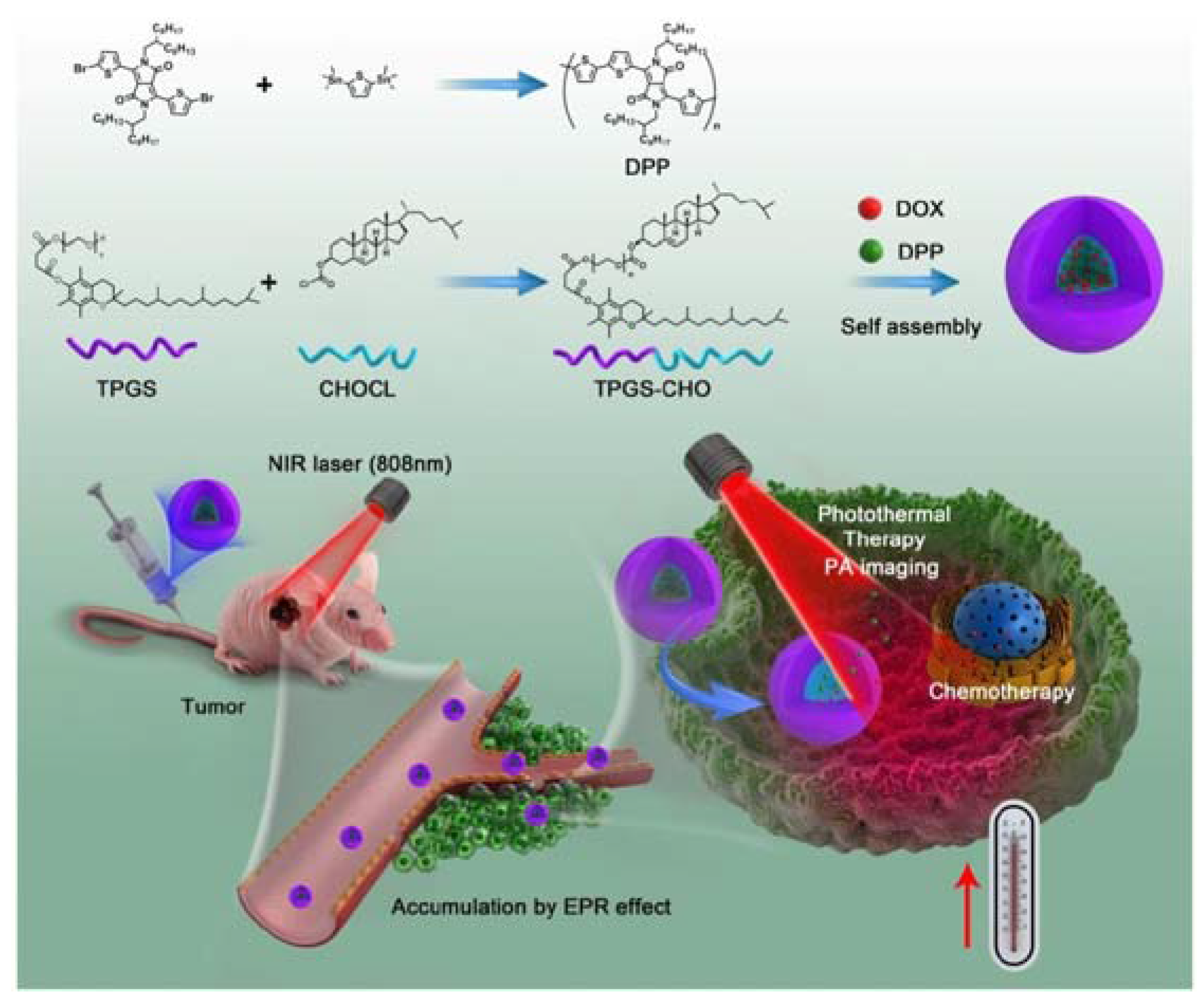 Nanomaterials 08 00085 g002