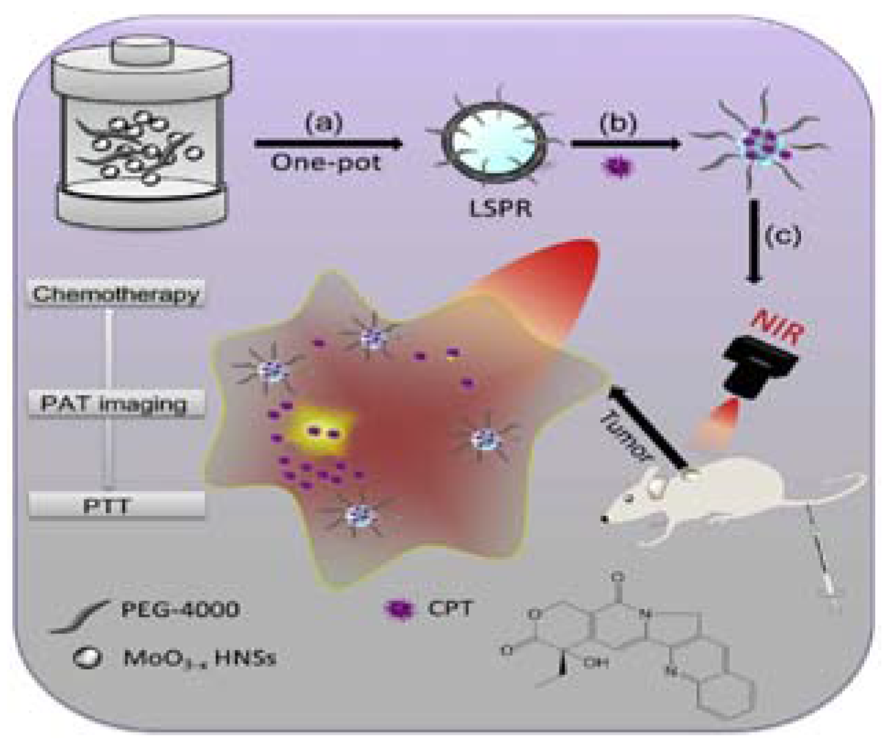 Nanomaterials 08 00085 g006
