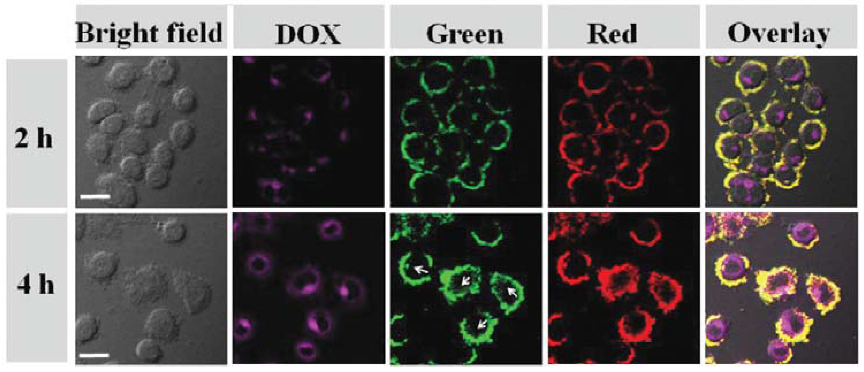 Nanomaterials 08 00085 g007