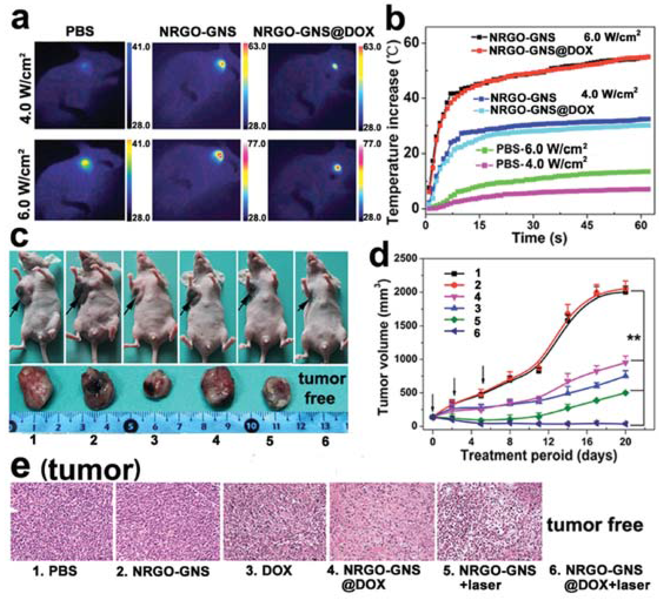 Nanomaterials 08 00085 g008