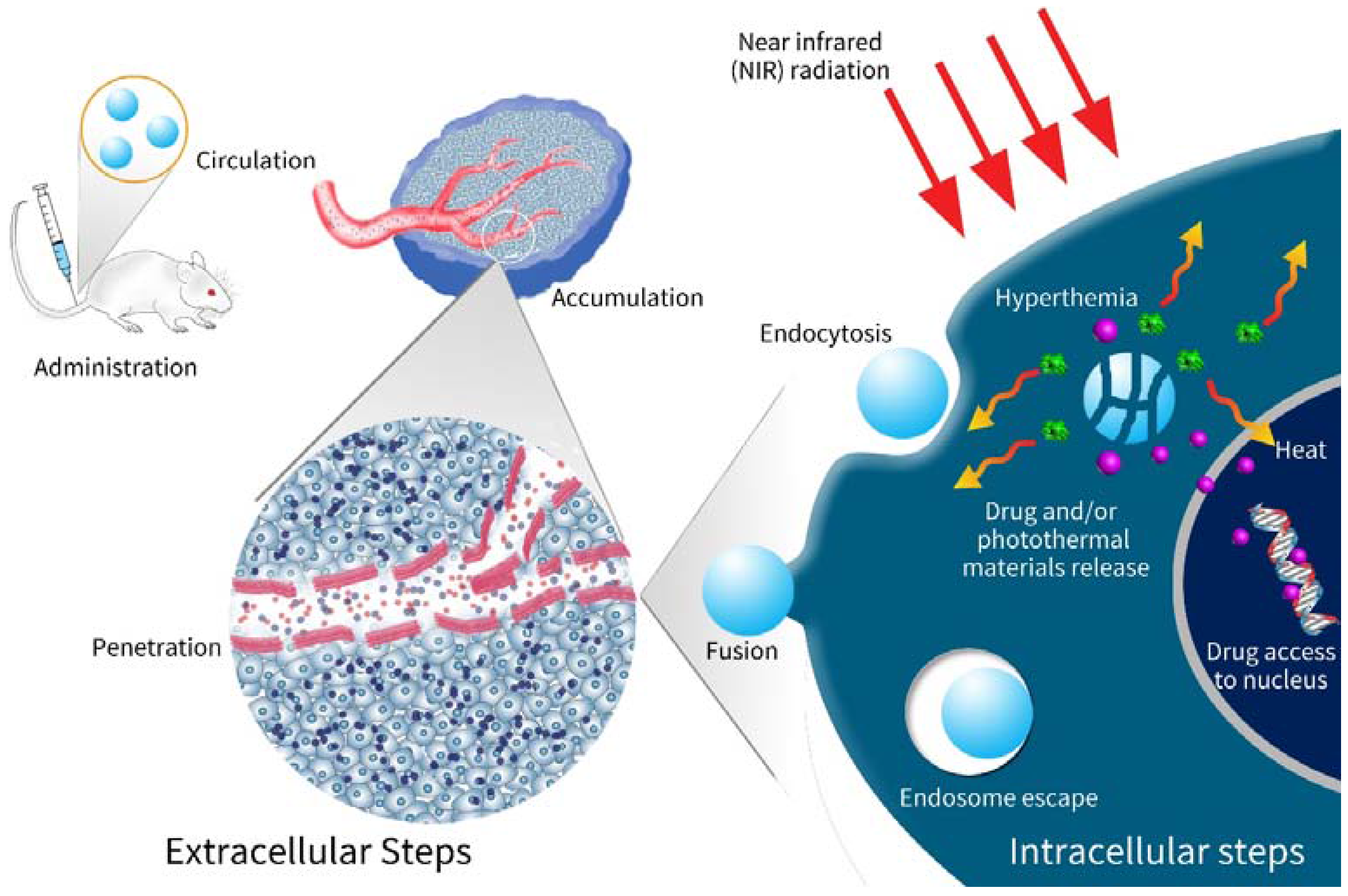 Nanomaterials 08 00085 sch001