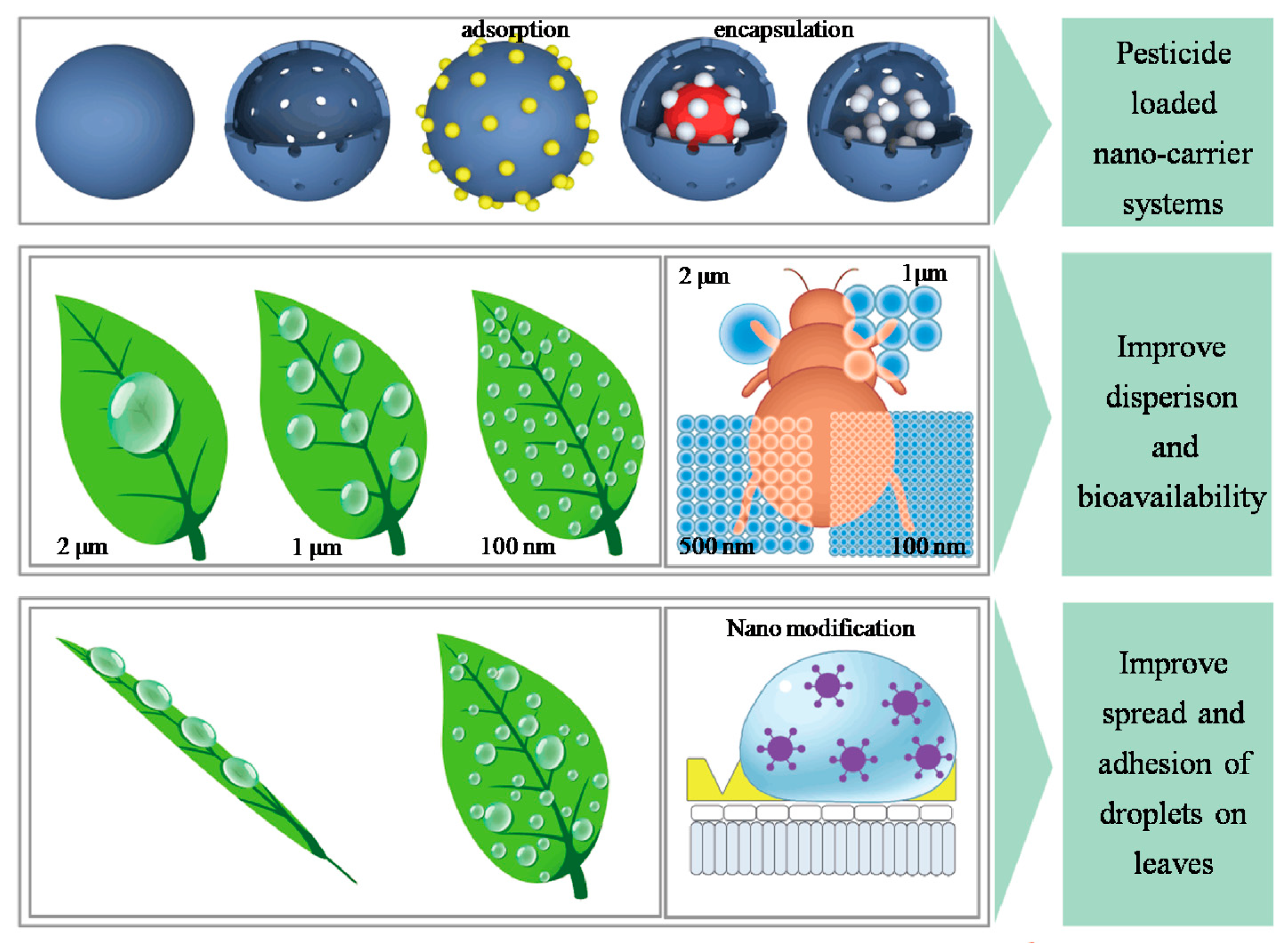 Nanomaterials 08 00102 g001