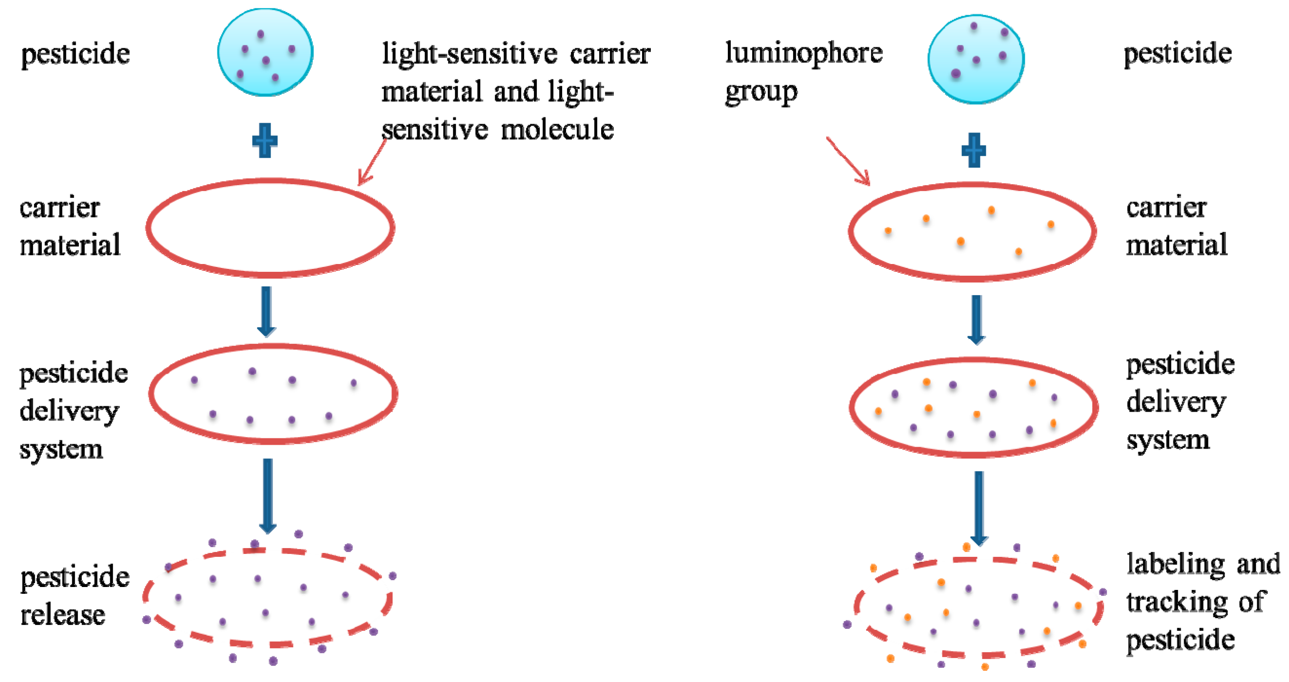 Nanomaterials 08 00102 g002