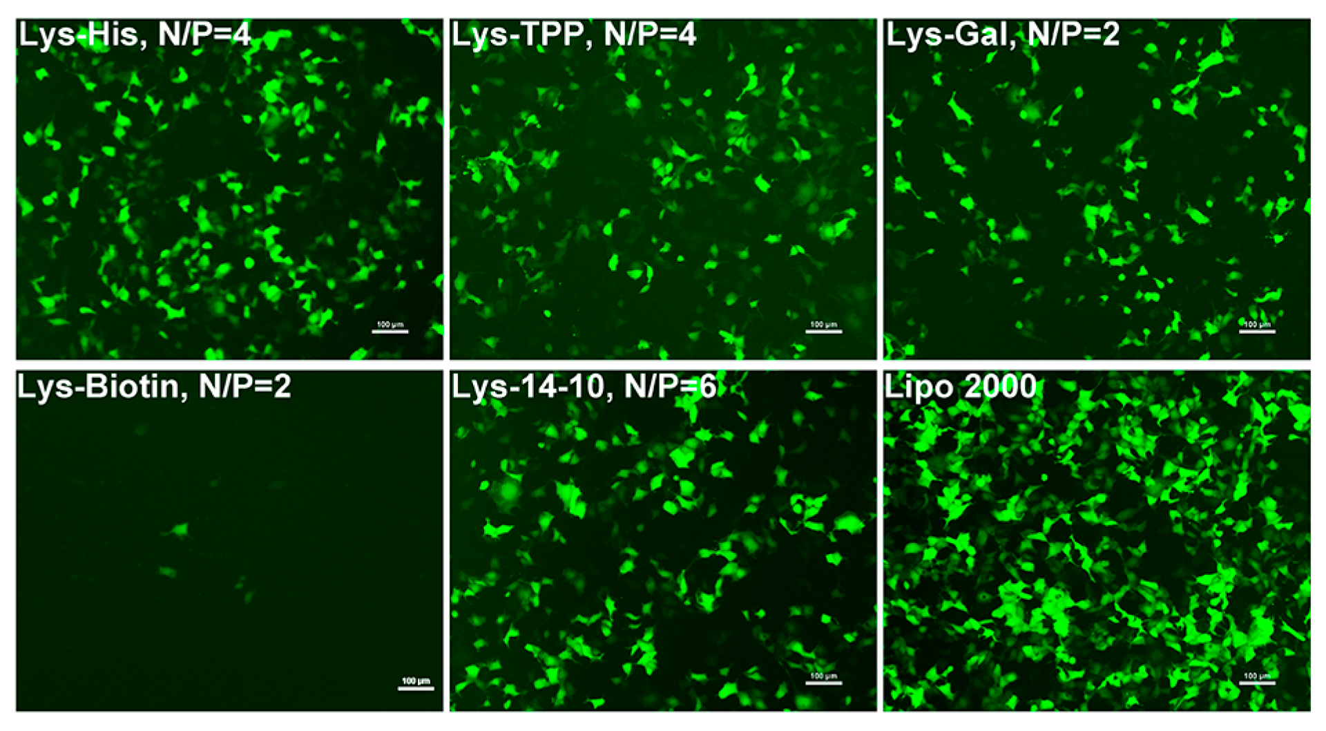 Nanomaterials 08 00115 g003 Nanomaterials 08 00115 g003