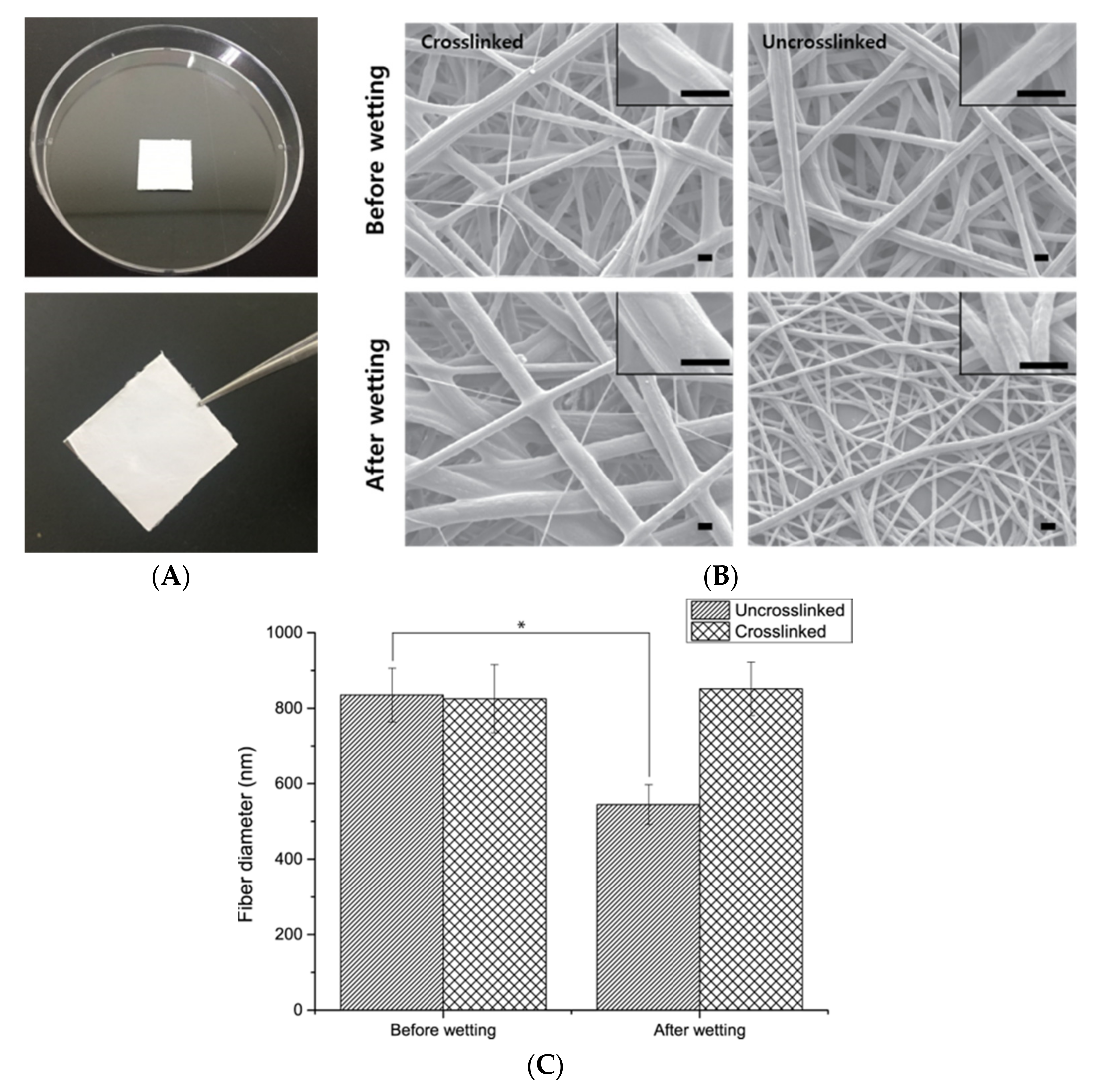 Nanomaterials 08 00117 g002 Nanomaterials 08 00117 g002