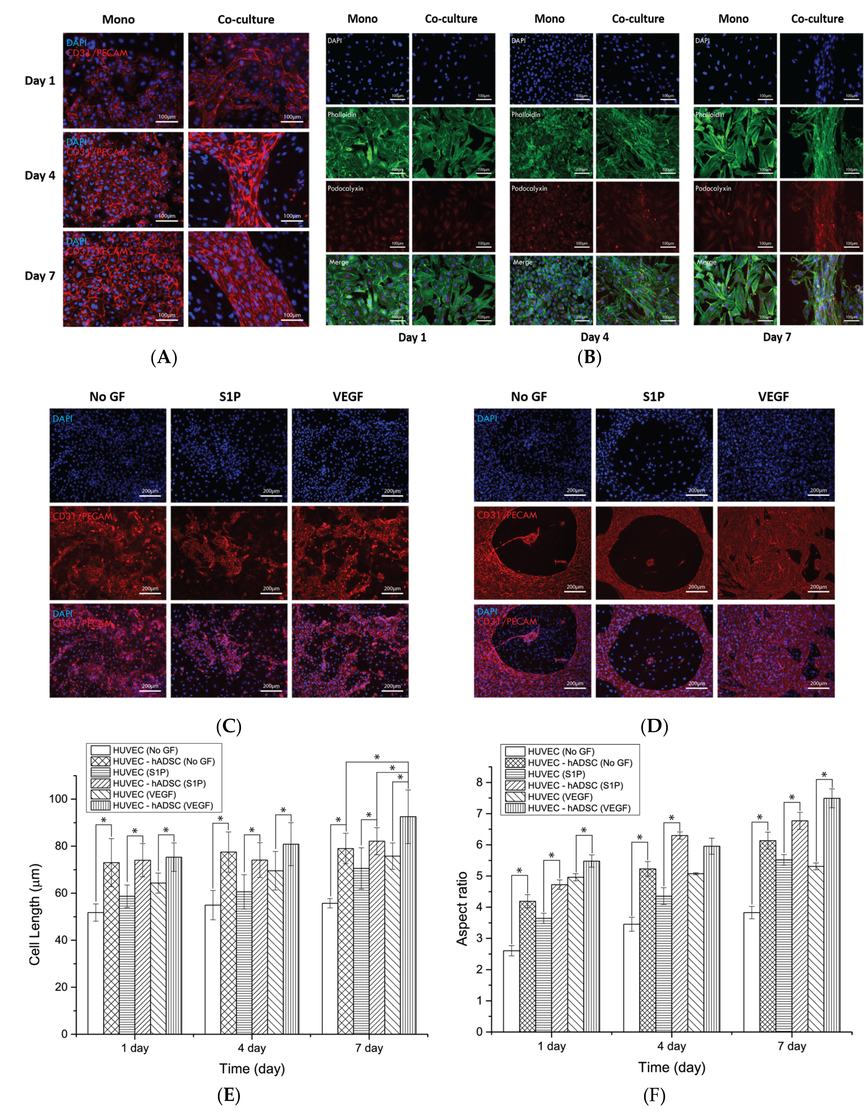 Nanomaterials 08 00117 g004 Nanomaterials 08 00117 g004