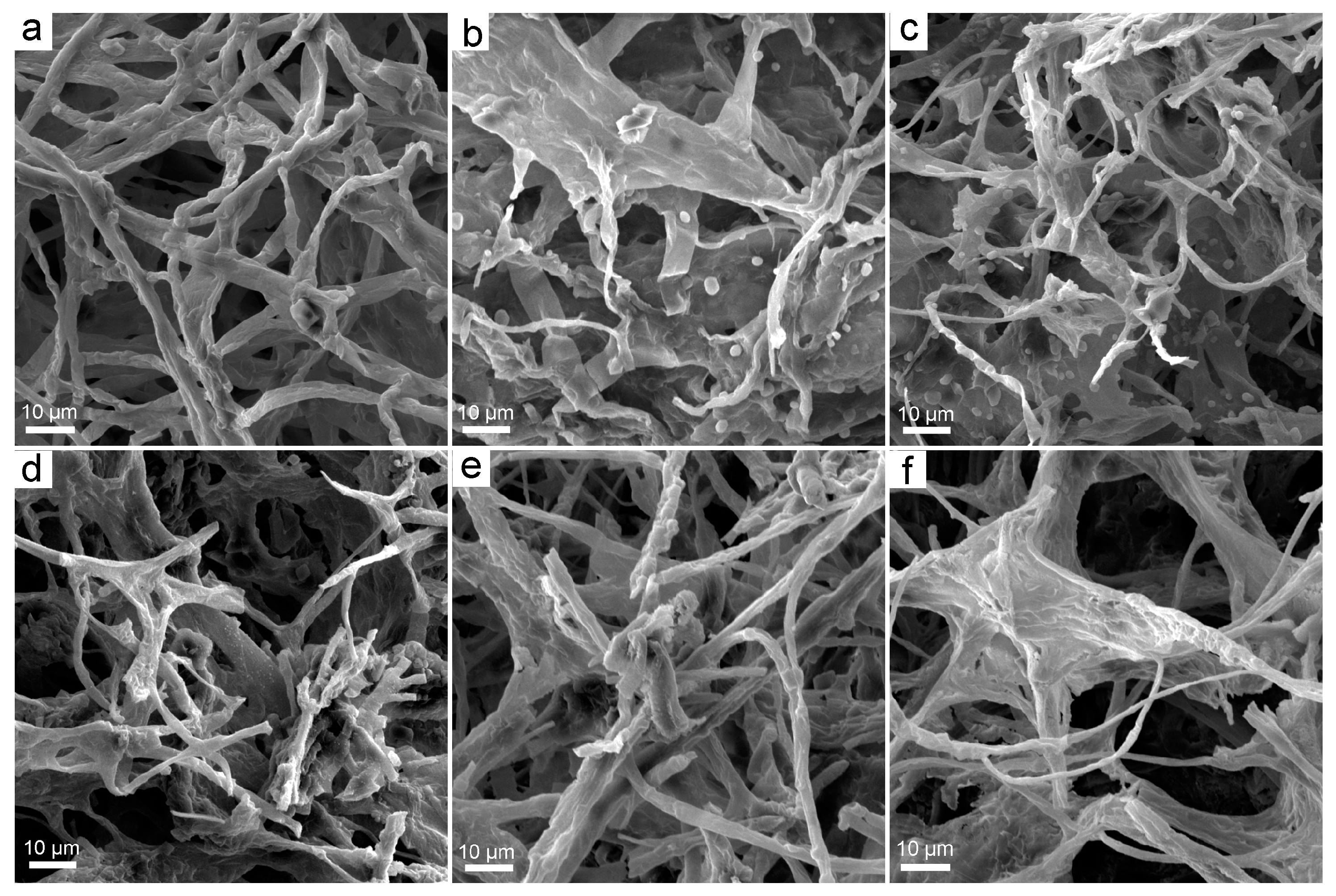 Nanomaterials 08 00120 g003