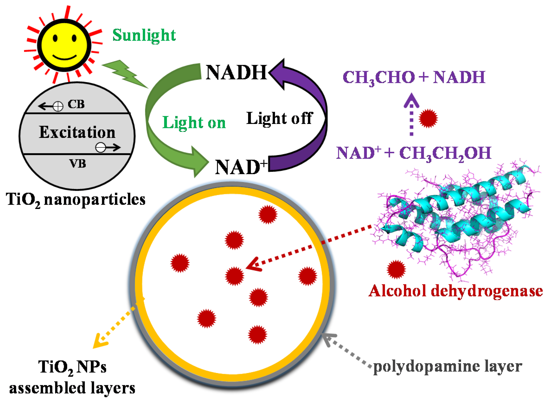 Nanomaterials 08 00127 g001