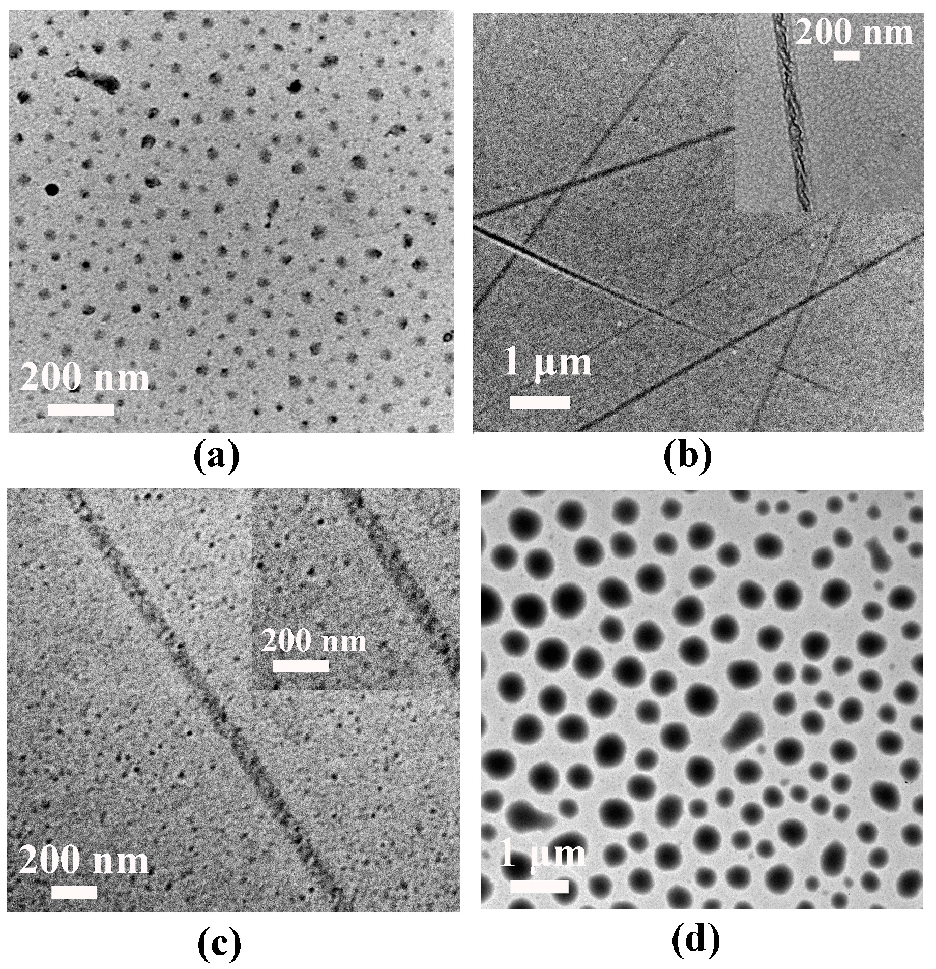 Nanomaterials 08 00136 g002