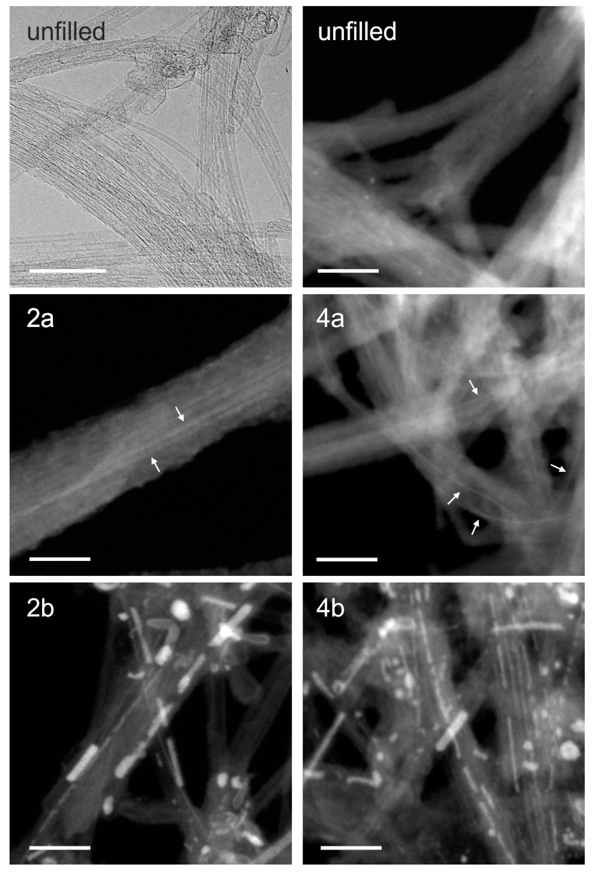 Nanomaterials 08 00137 g006