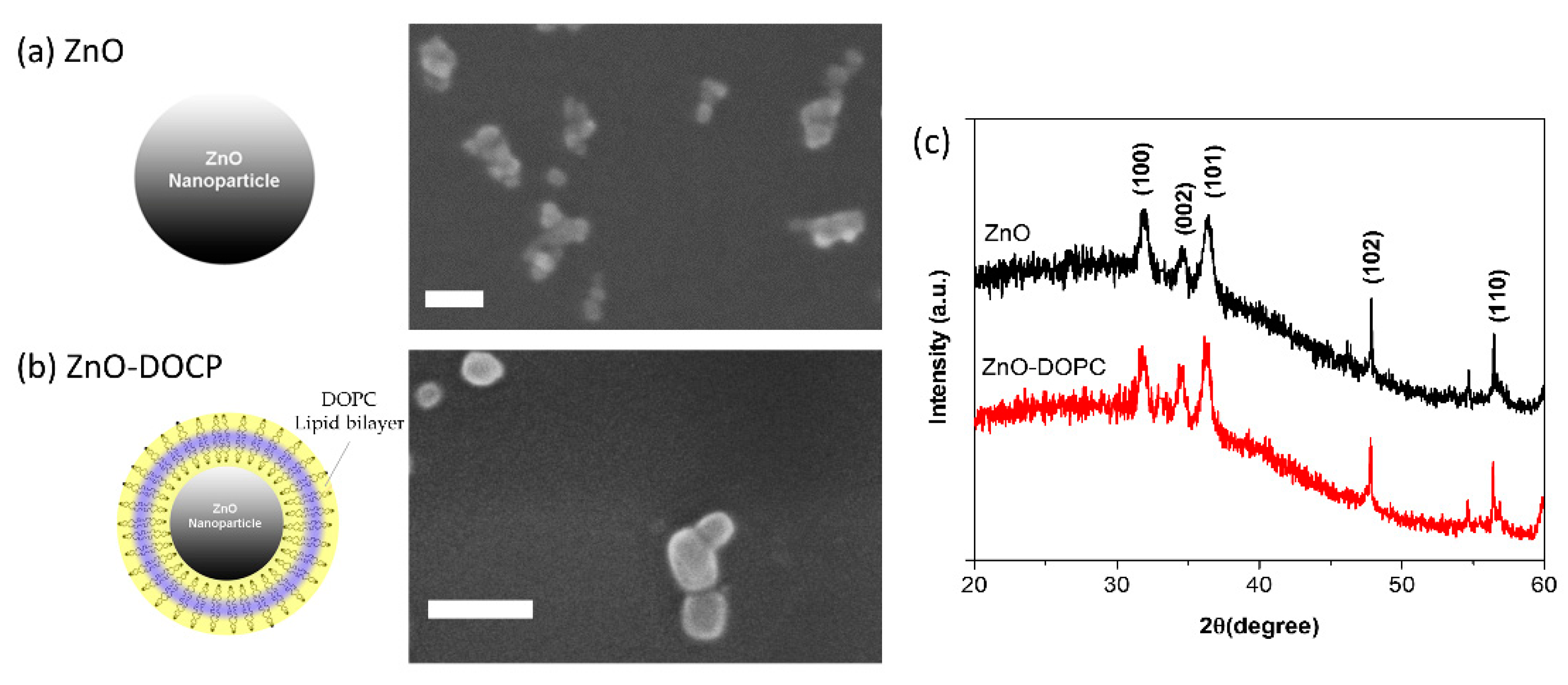 Nanomaterials 08 00143 g001
