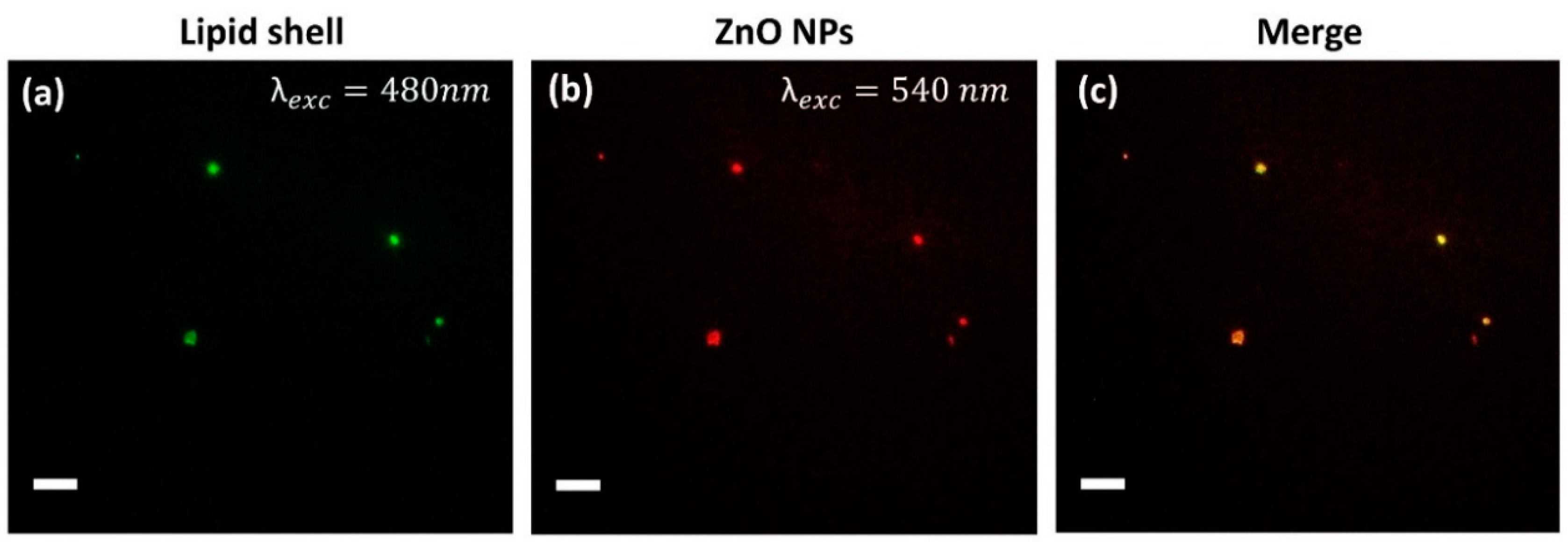 Nanomaterials 08 00143 g003