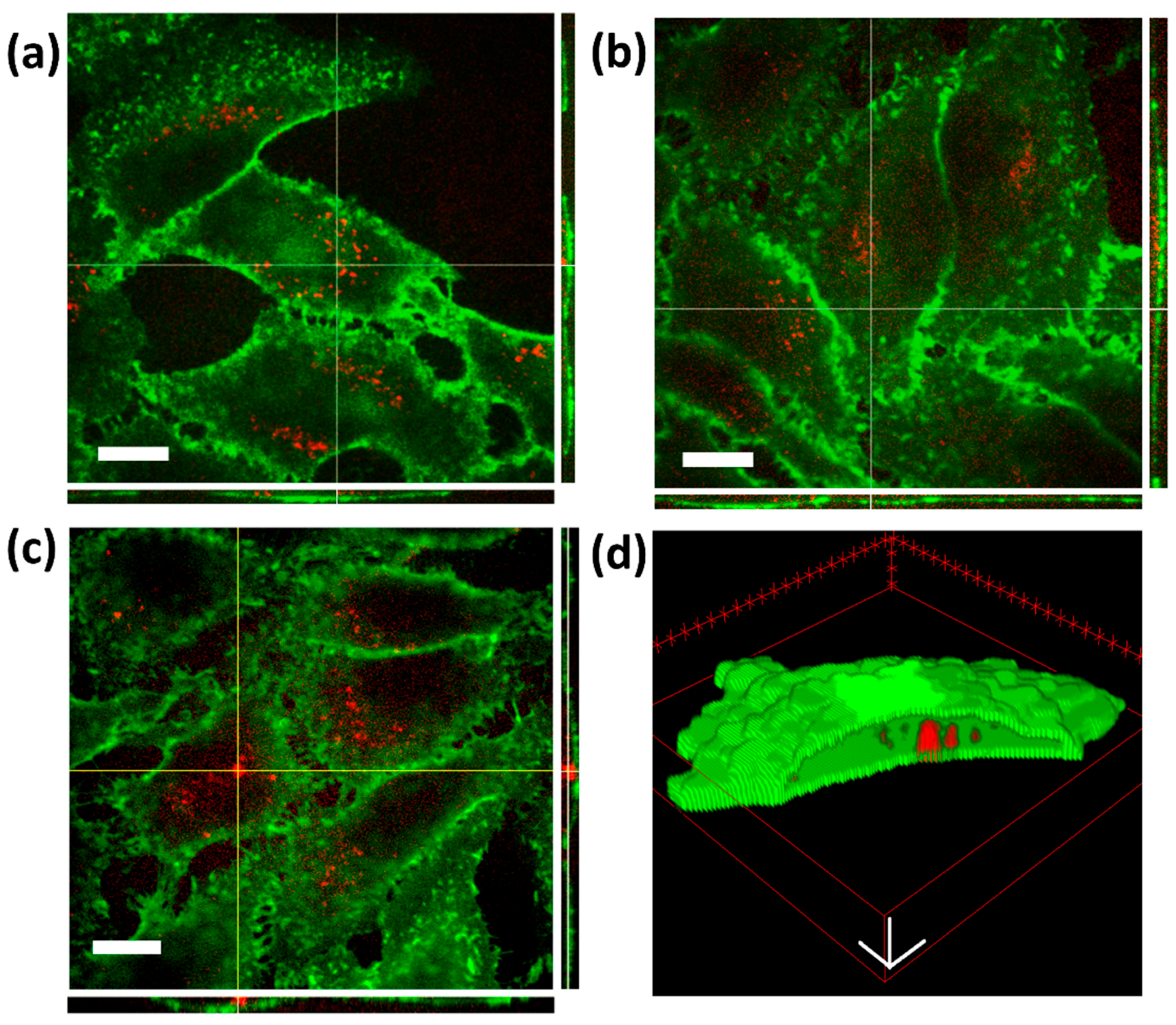 Nanomaterials 08 00143 g007